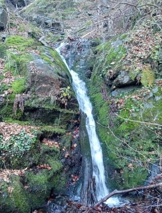 Liska