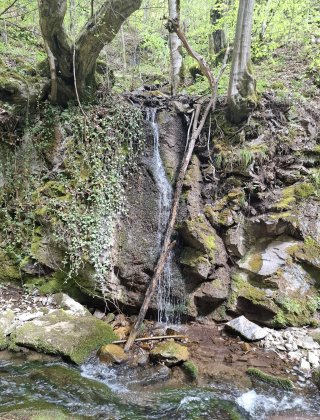 Zimevishki Waterfall 21