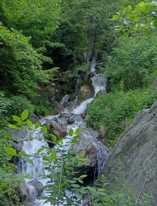 Sanar Dere
