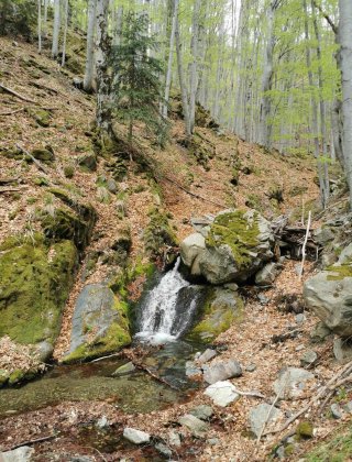 Malkata reka (Karlovo) Waterfall 4