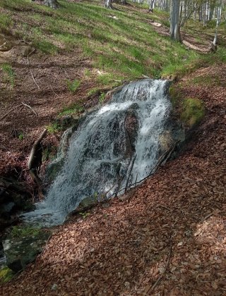Merdeven Dere 2