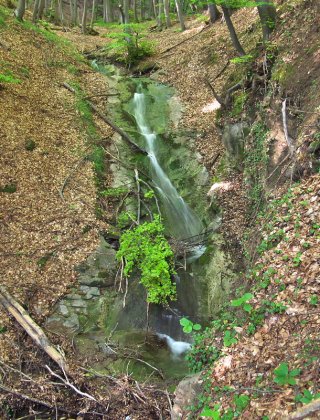 Горен водопад Бърдашка река