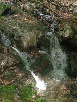 Balamdere 7