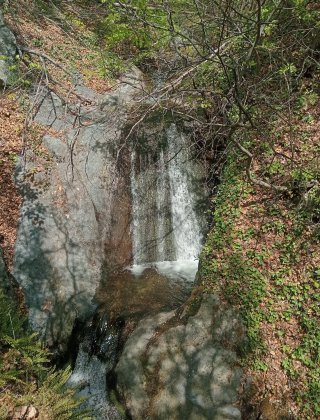 Kyuf Dere 1