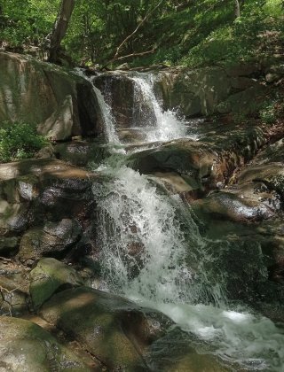 Balamdere 3