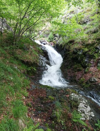 Bratkova Dalbochitsa Waterfall 1