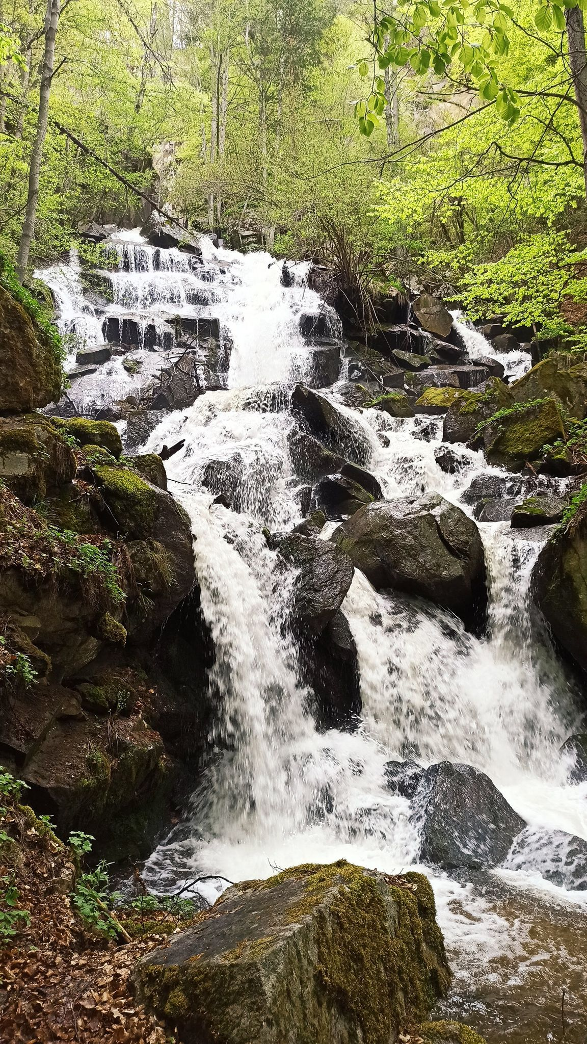 Водопад Честненско усое 2