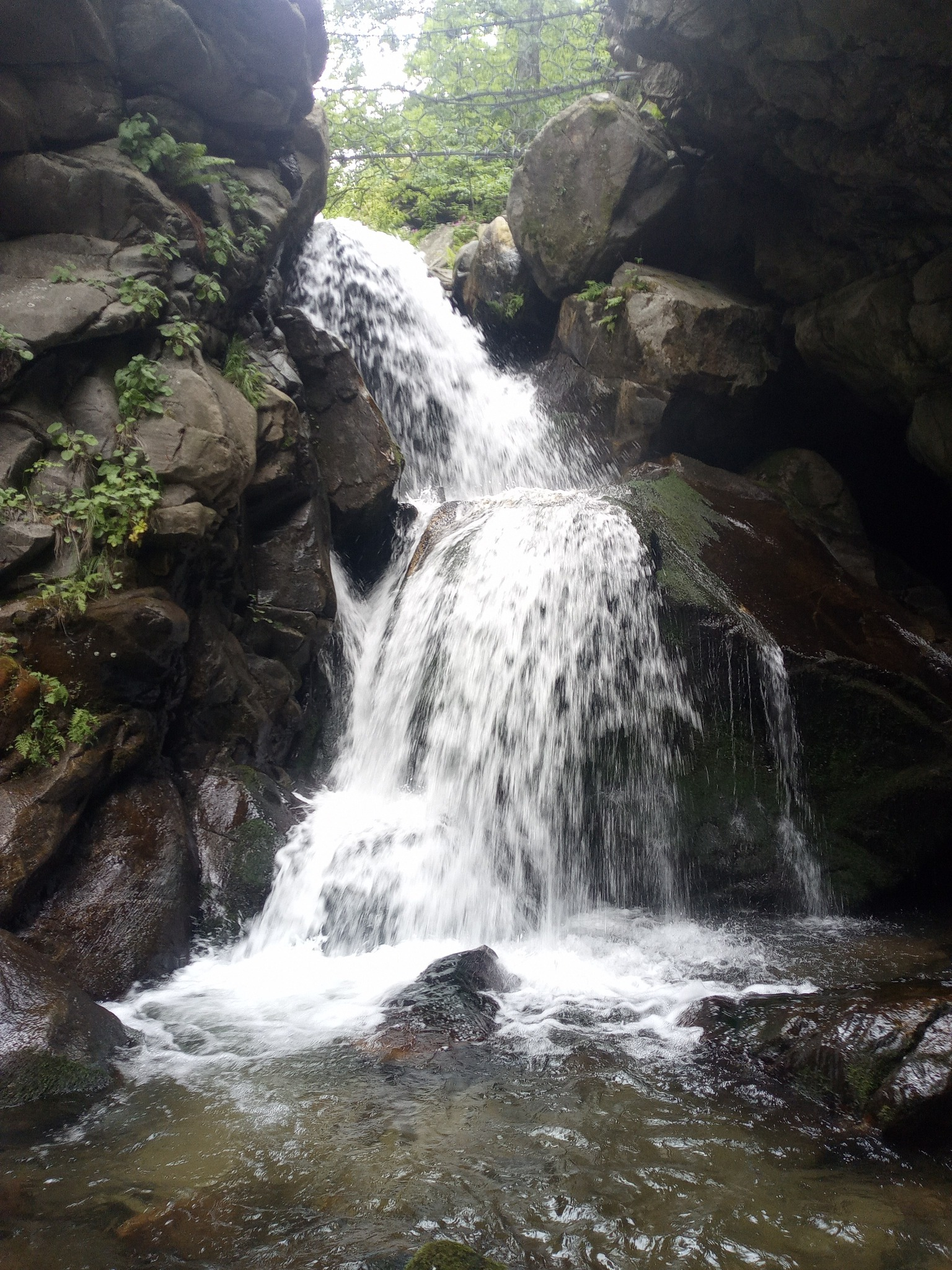 Долен водопад Крива река