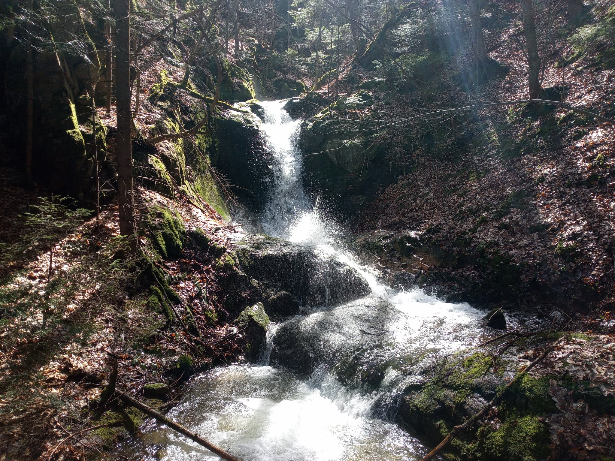 Долен водопад Скаловитско дере