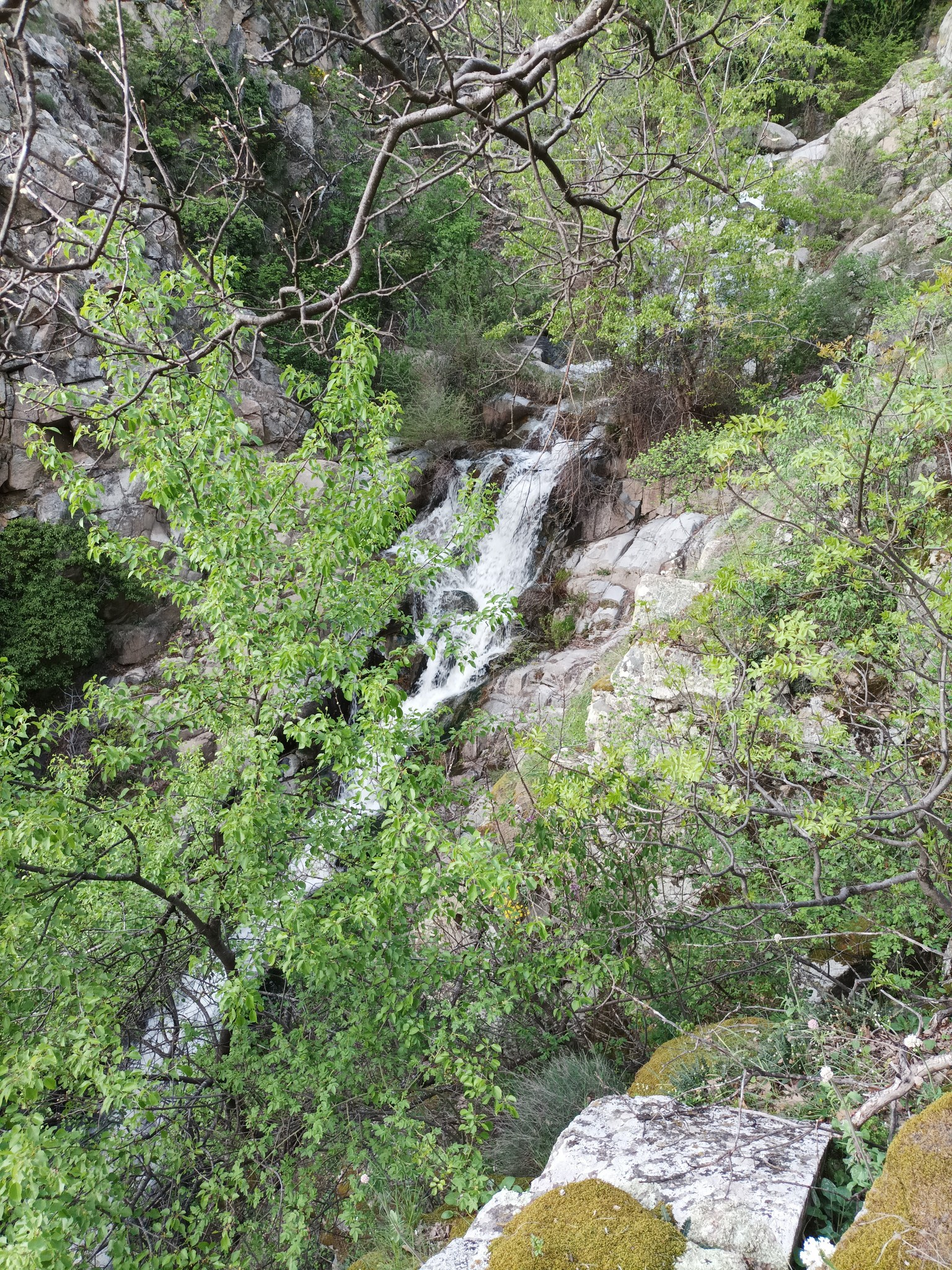 Мечкулски водопад 12