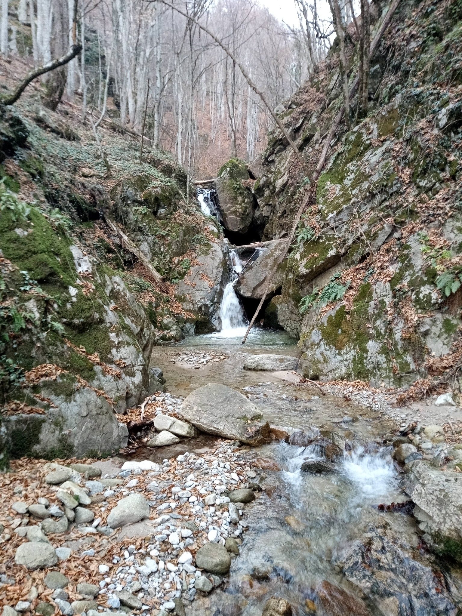 Долен водопад Лоповска