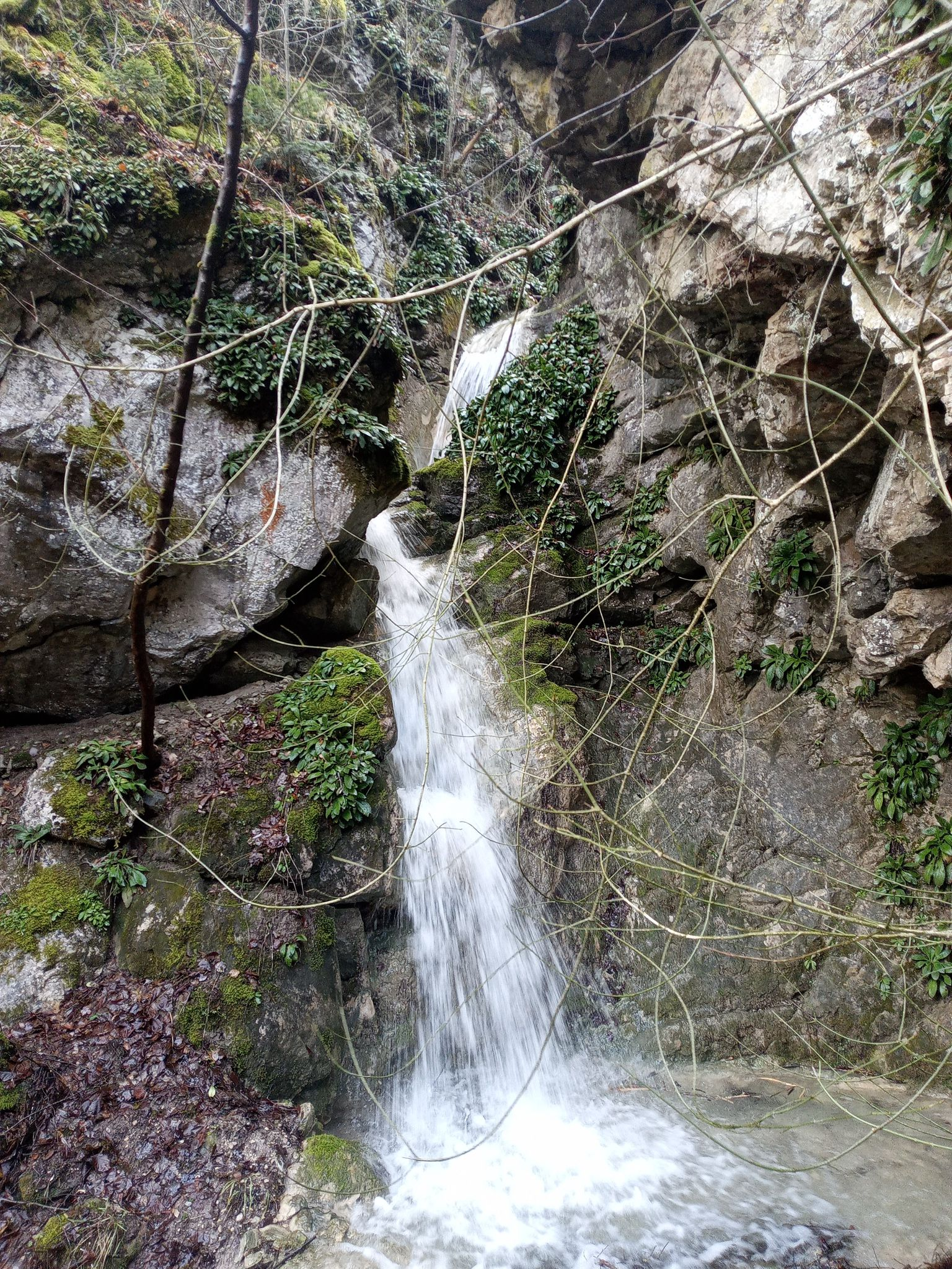 Долен водопад Мечата вода