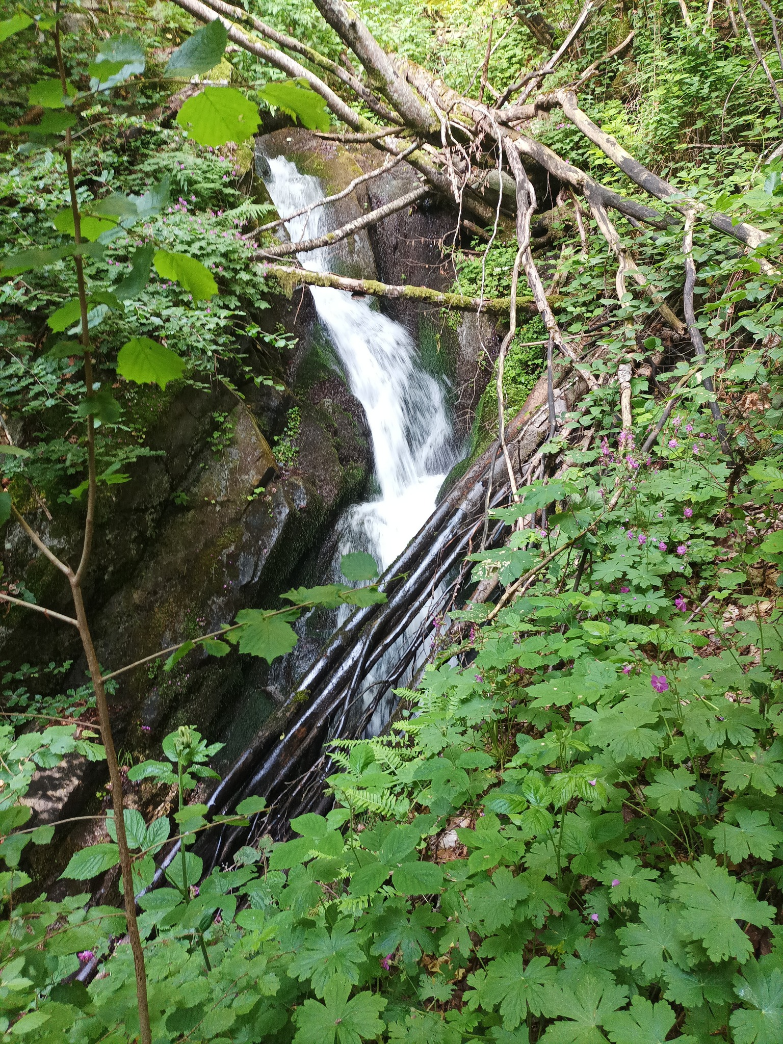 Водопад Среднишки дол 10