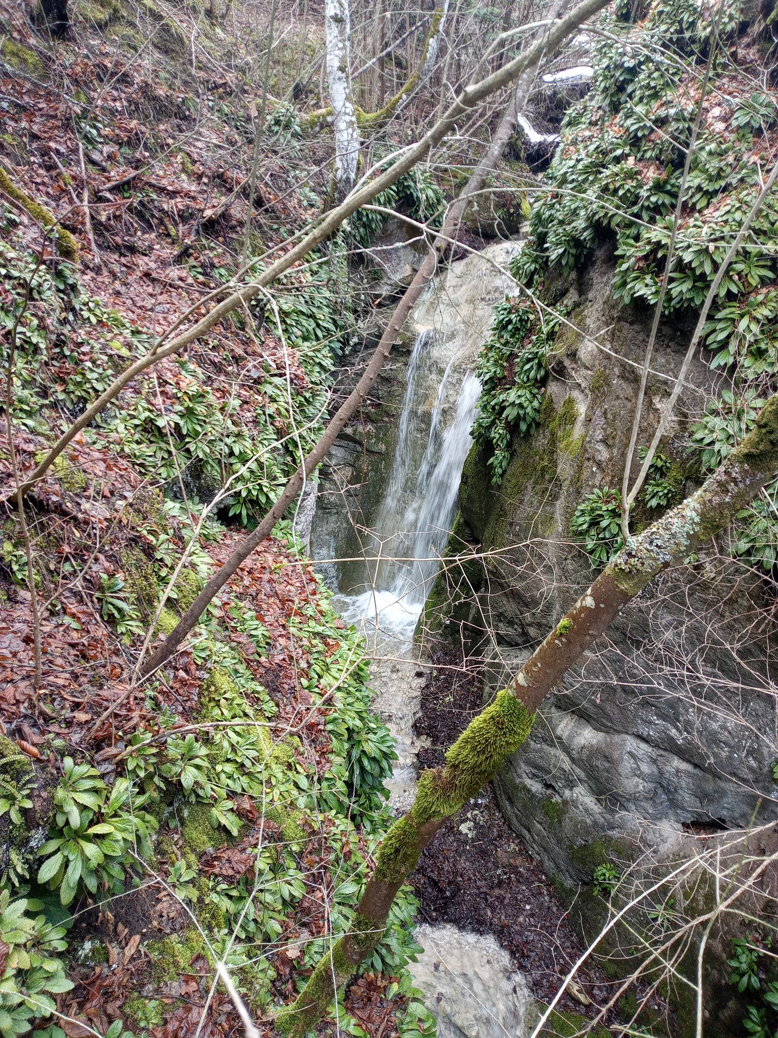 Горен водопад Мечата вода