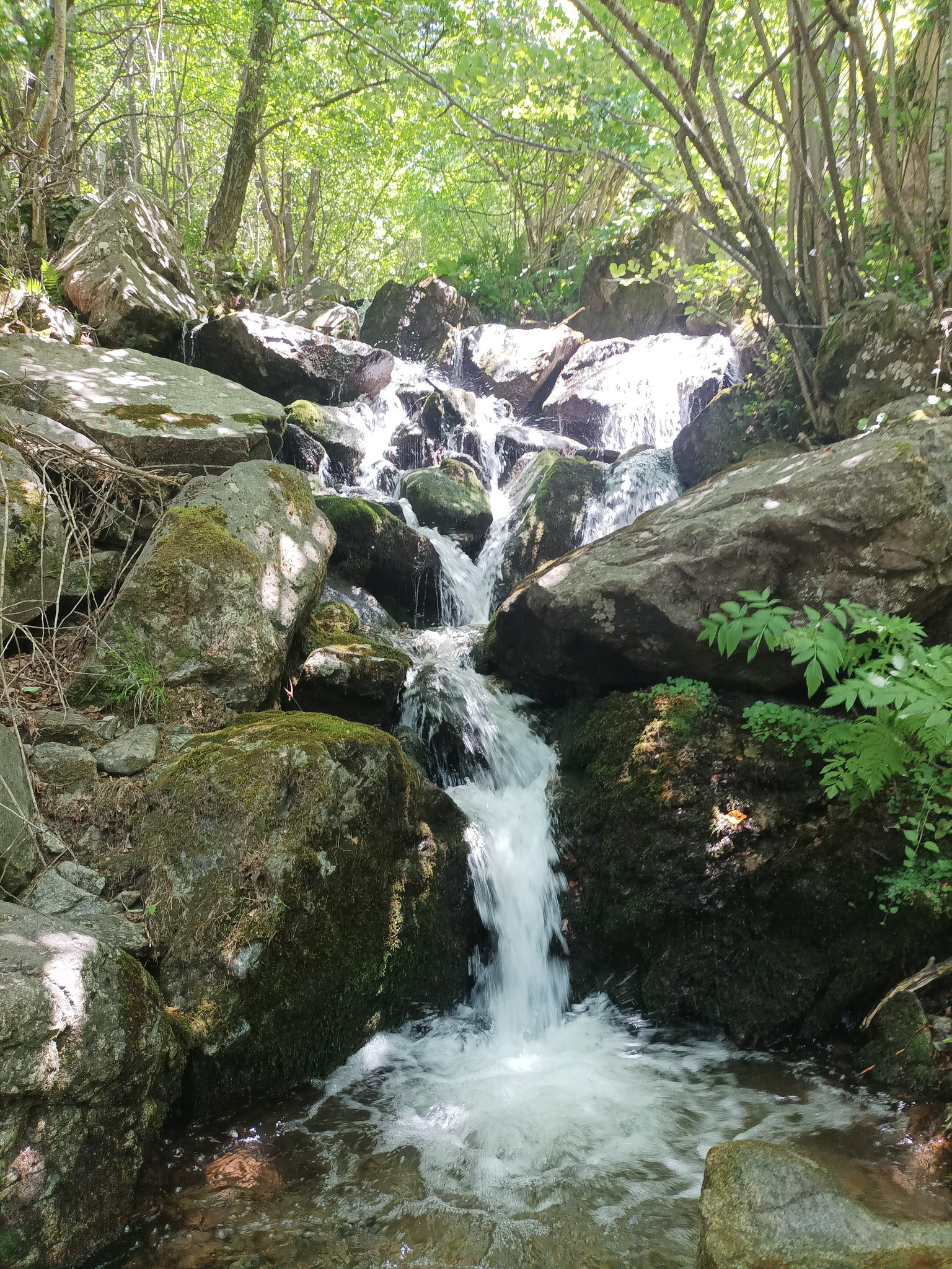 Долен водопад Фудиня