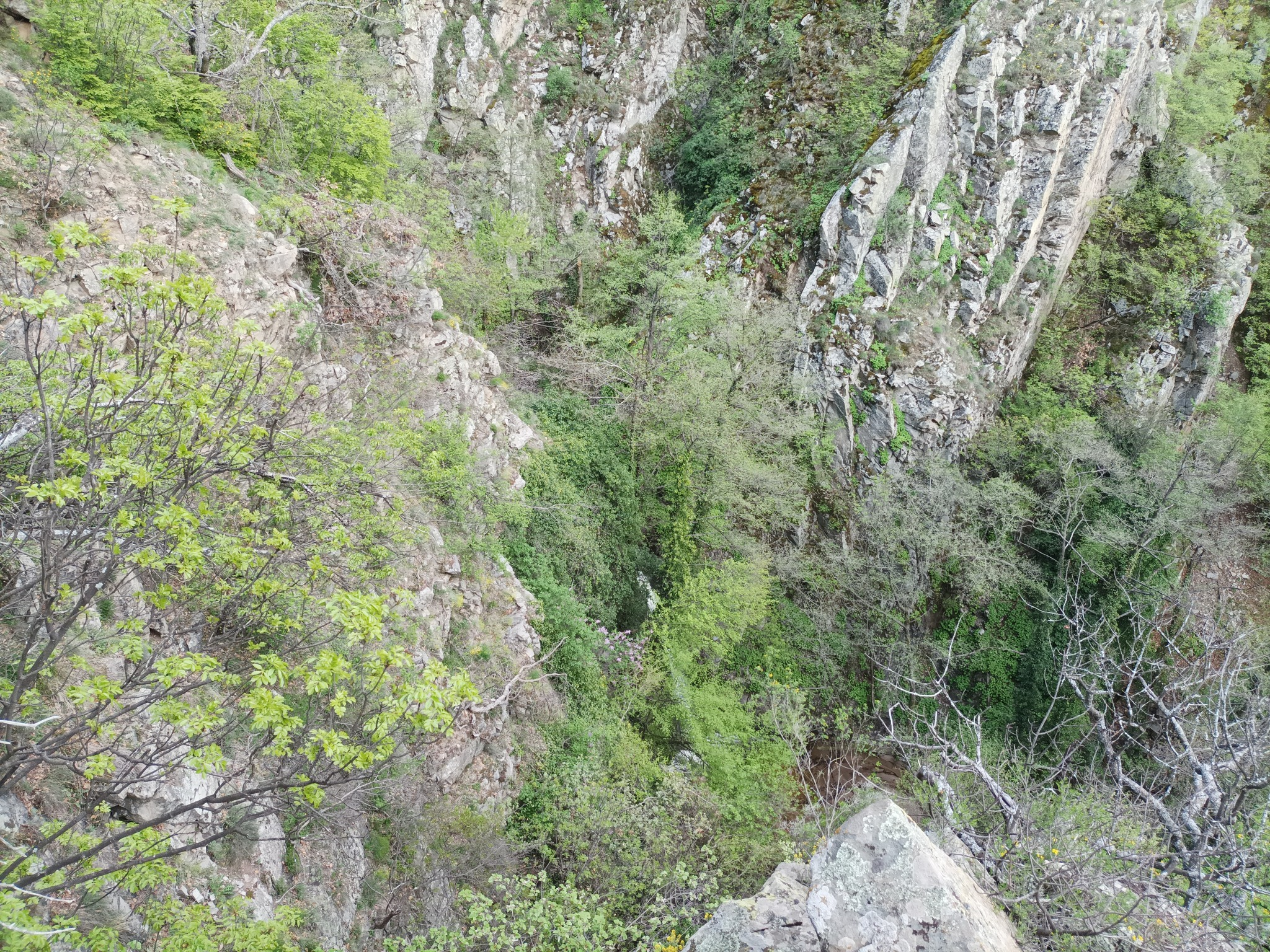 Мечкулски водопад 18