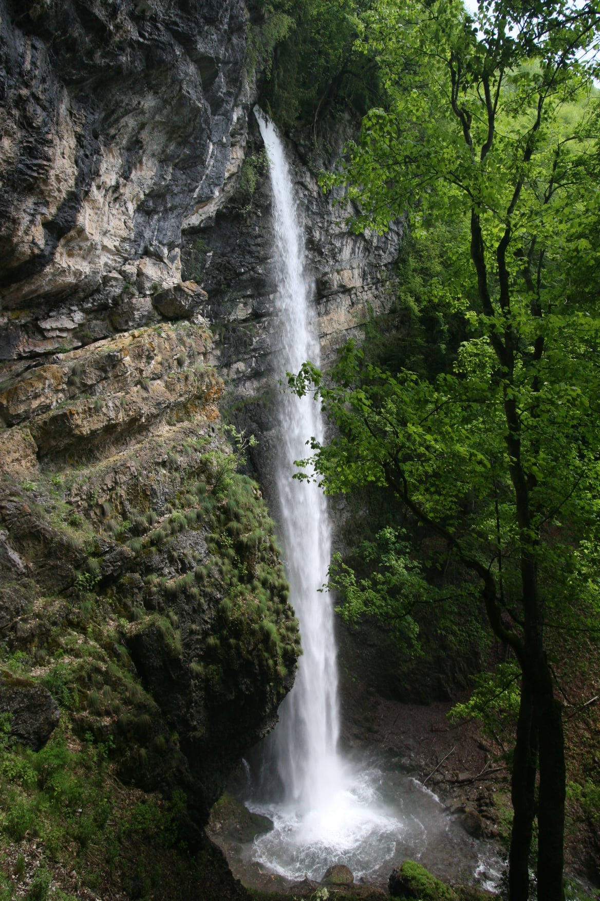 Сувчарско пръскало