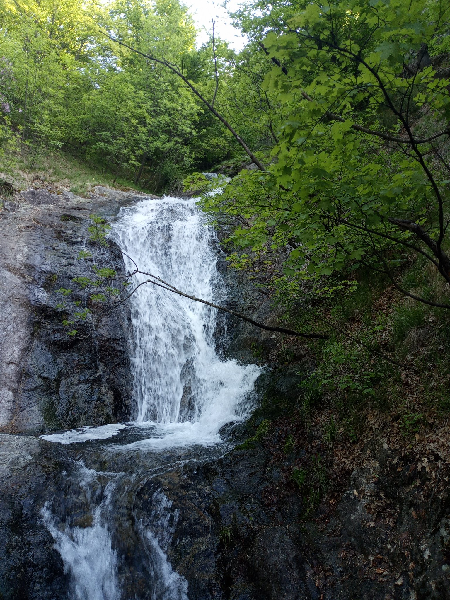 Водопад Гургура 3