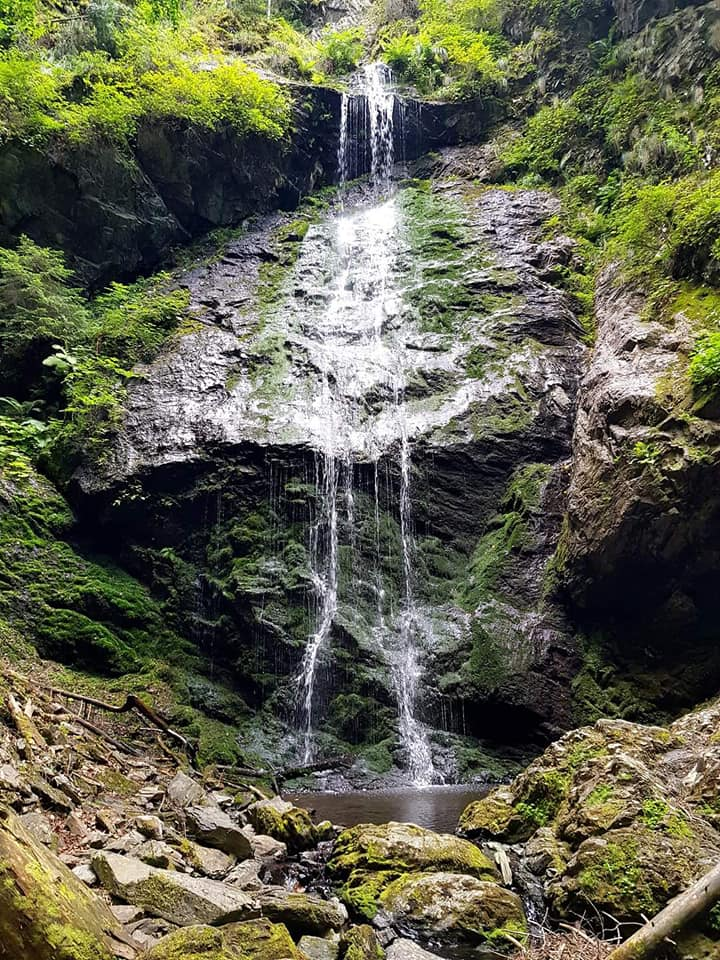 Черното пръскало 