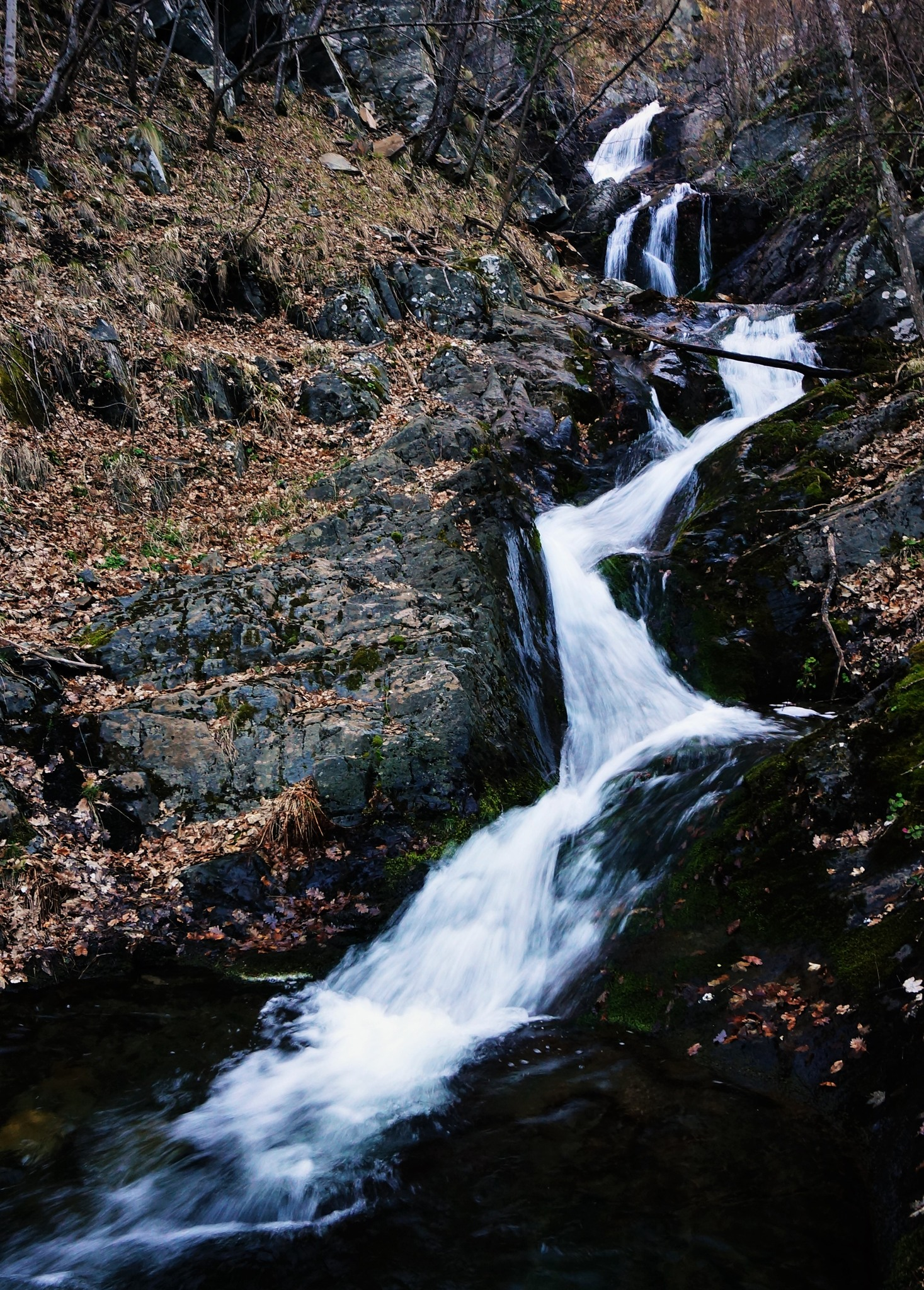 Светишка каскада