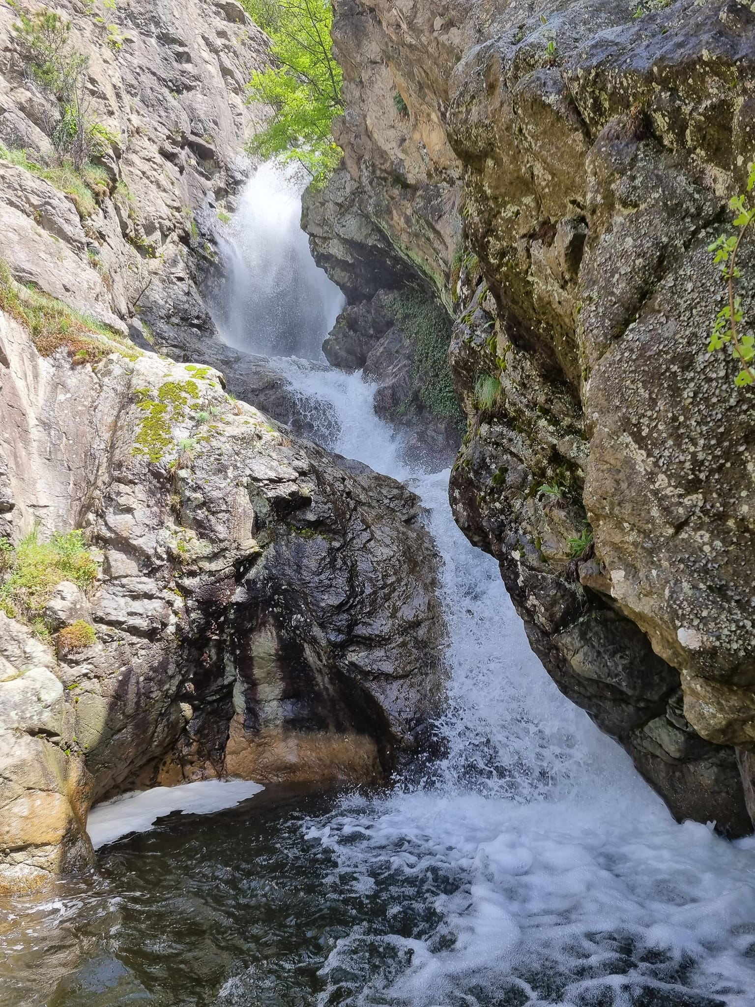 Долна каскада Леевица