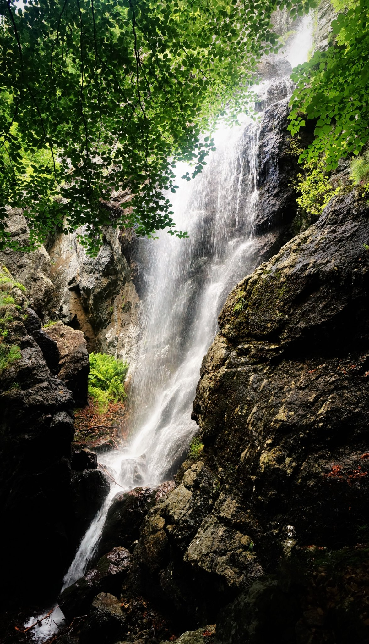 Купнишко пръскало