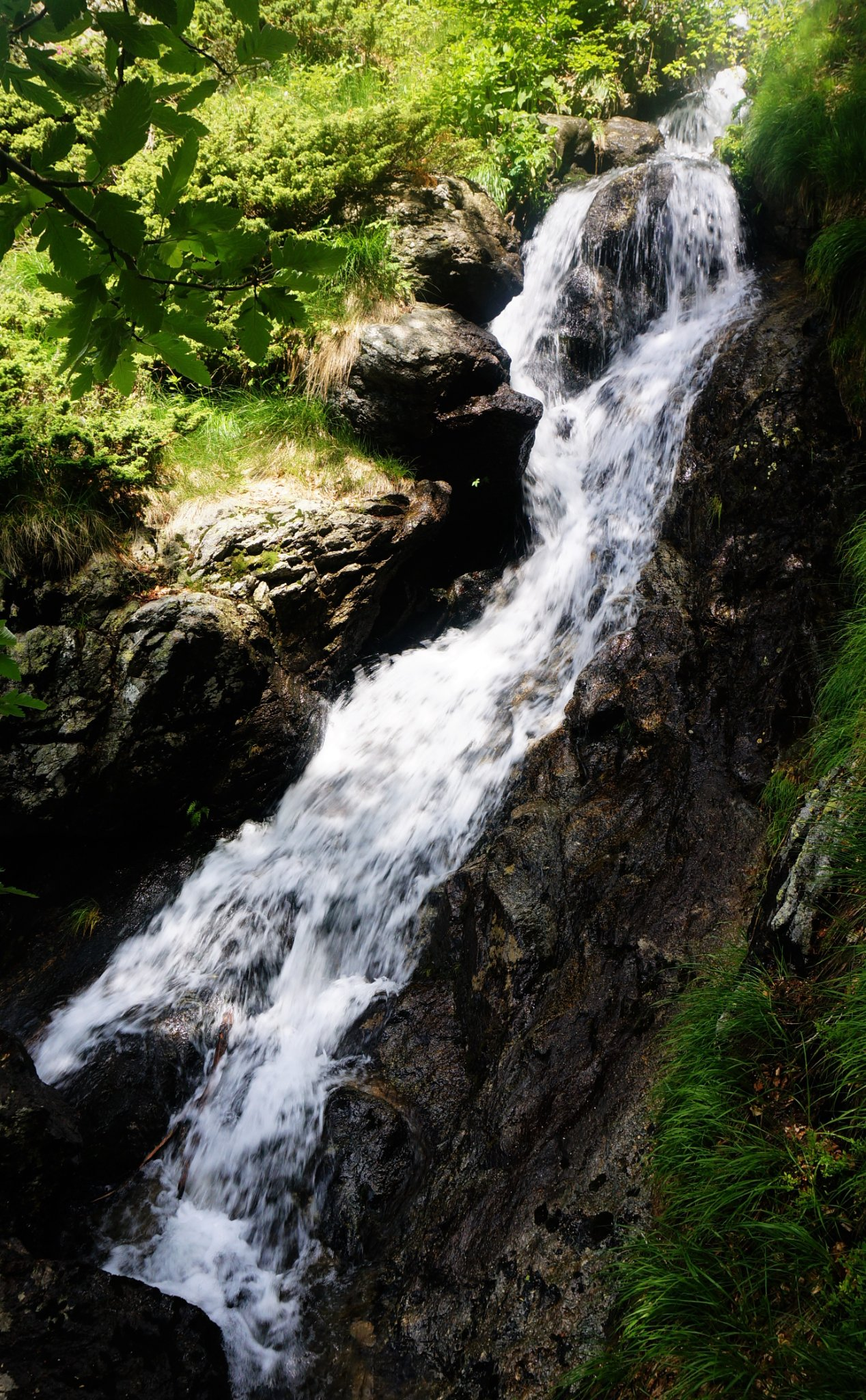 Водопад ляв приток Петканова вода 2