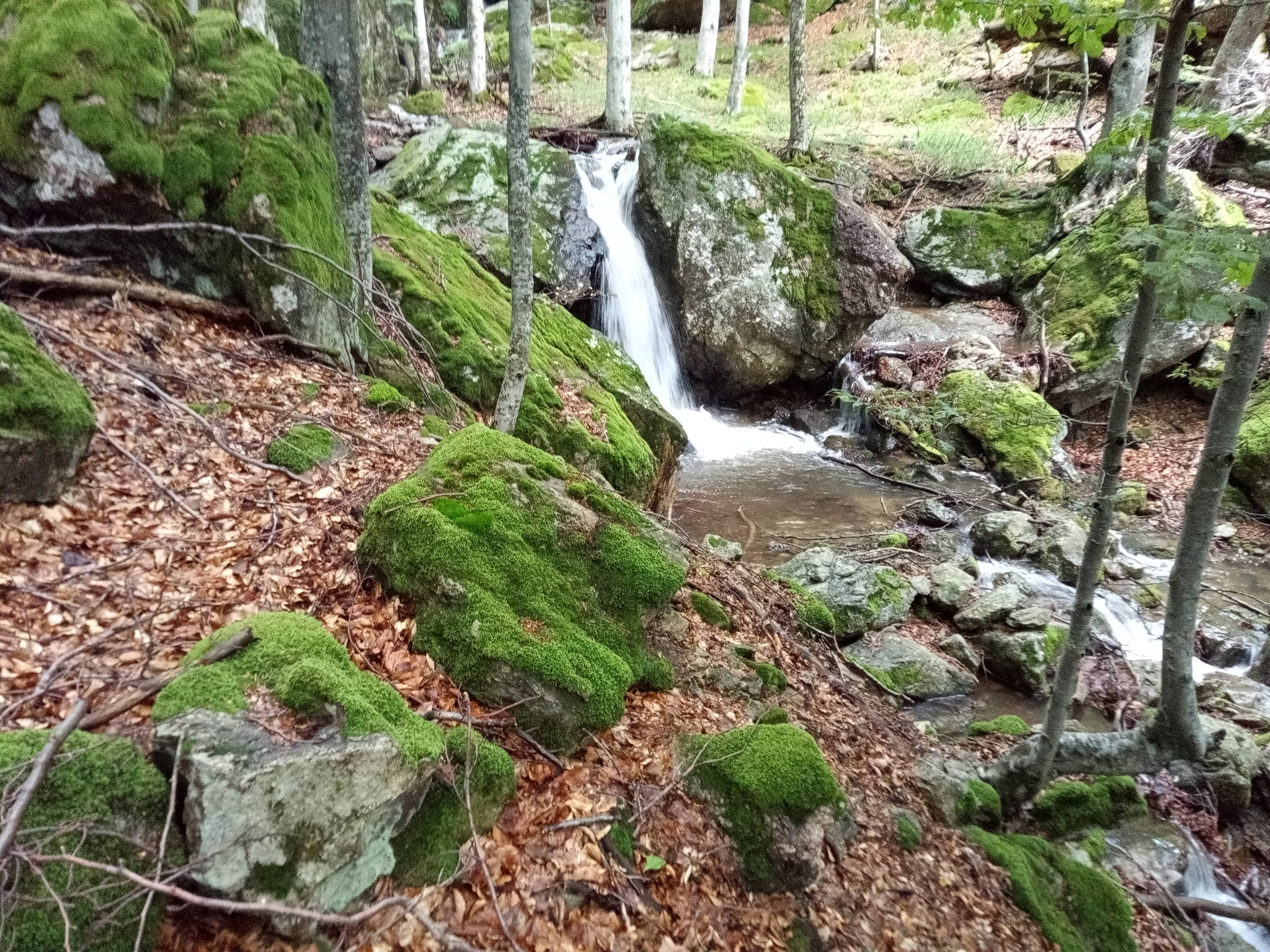 Водопад Дълбоката река 12
