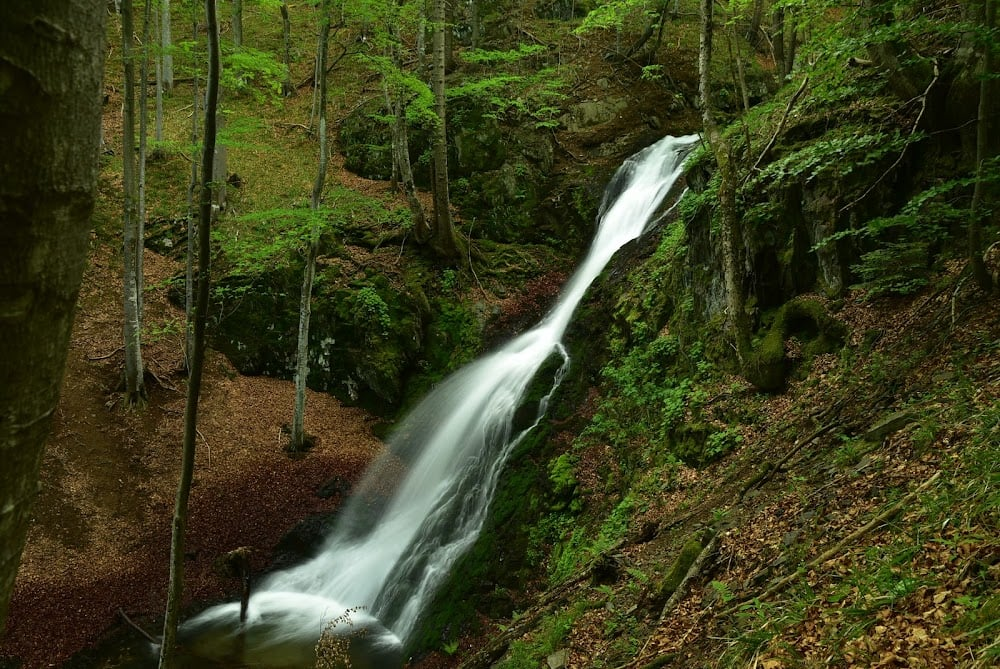 Водопад Заграденица 