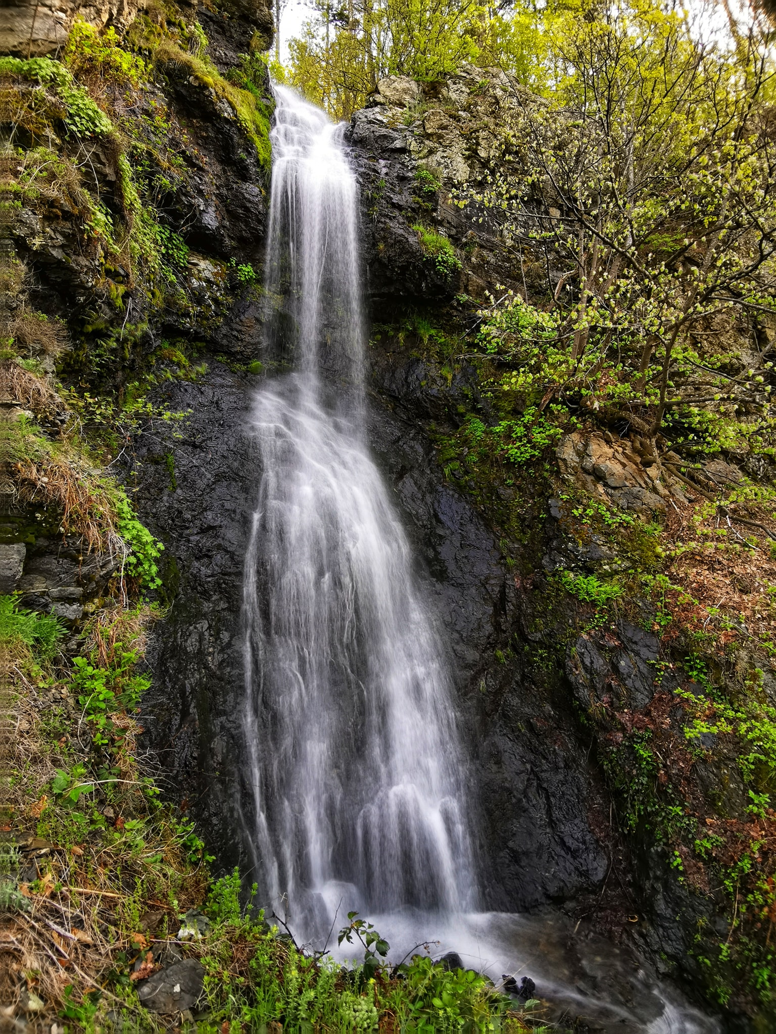 Водопад Голяма папратлива