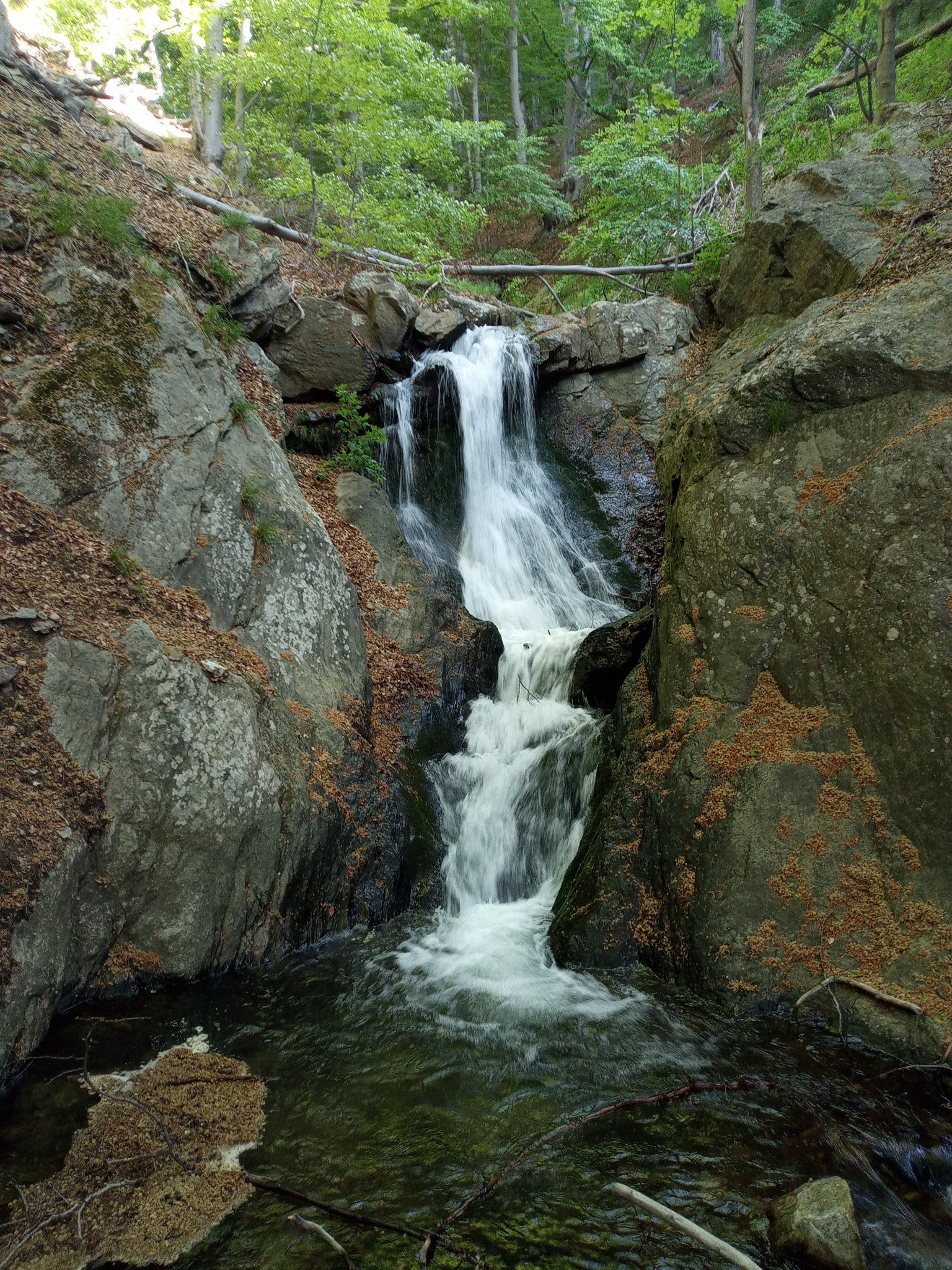 Водопад Гургура 7