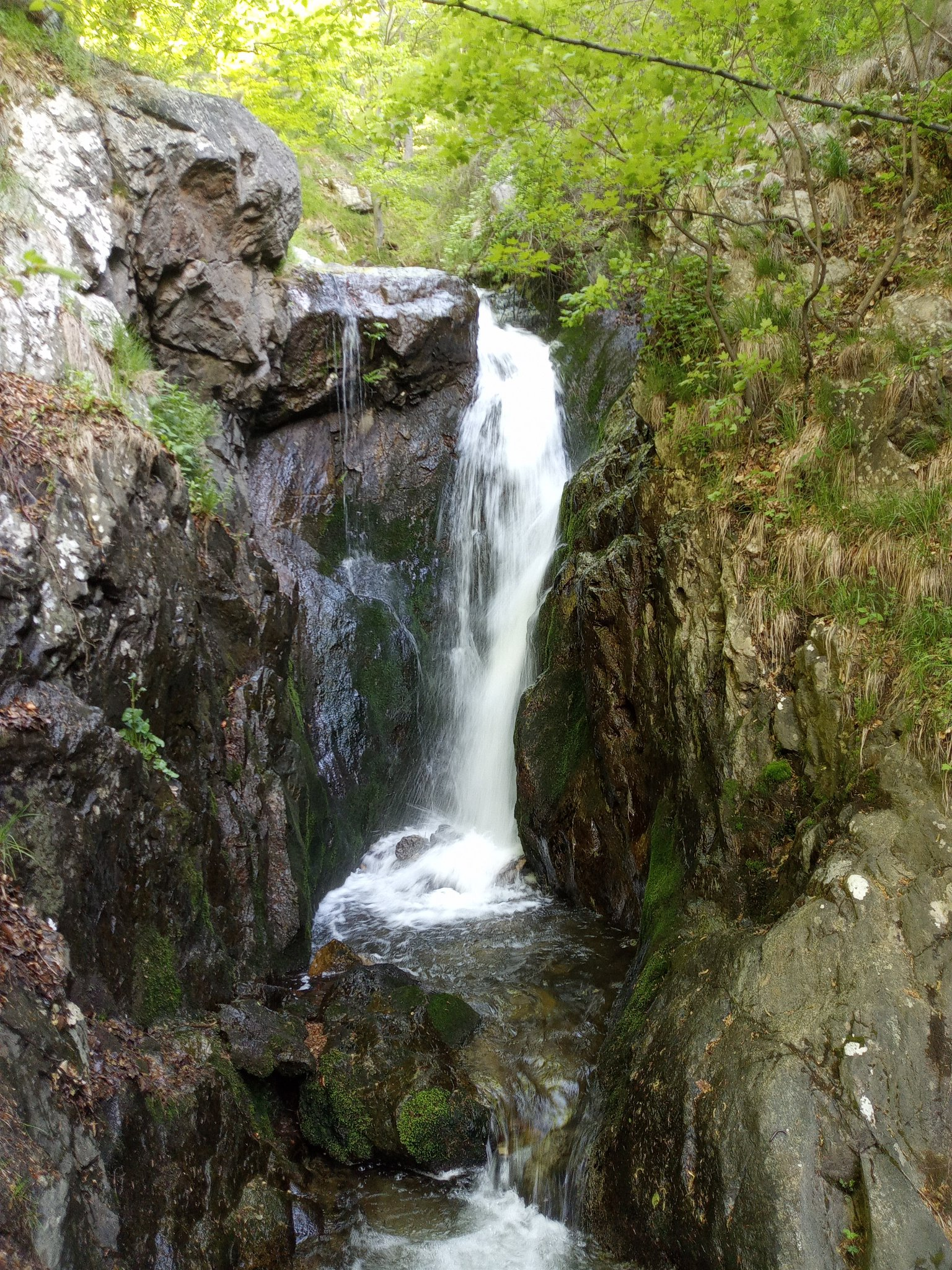 Водопад Гургура 8