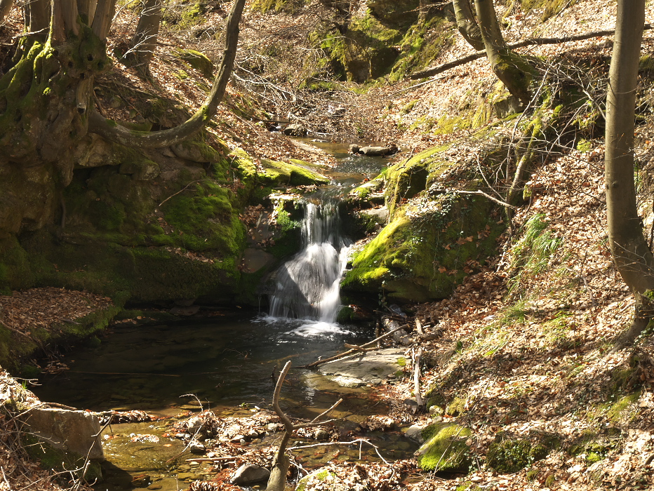 Праг Голямото гюне 5