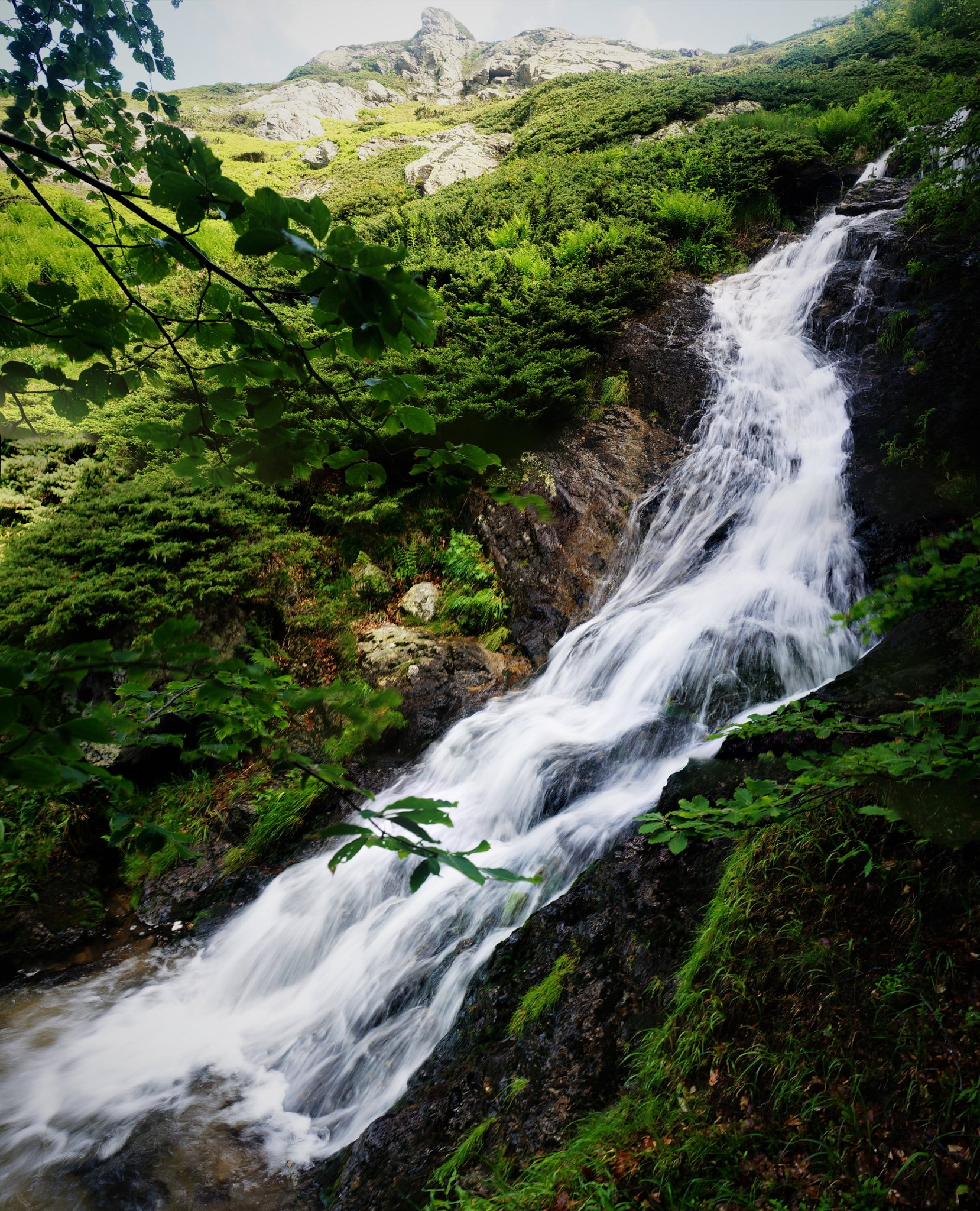Долен водопад ляв приток Петканова вода