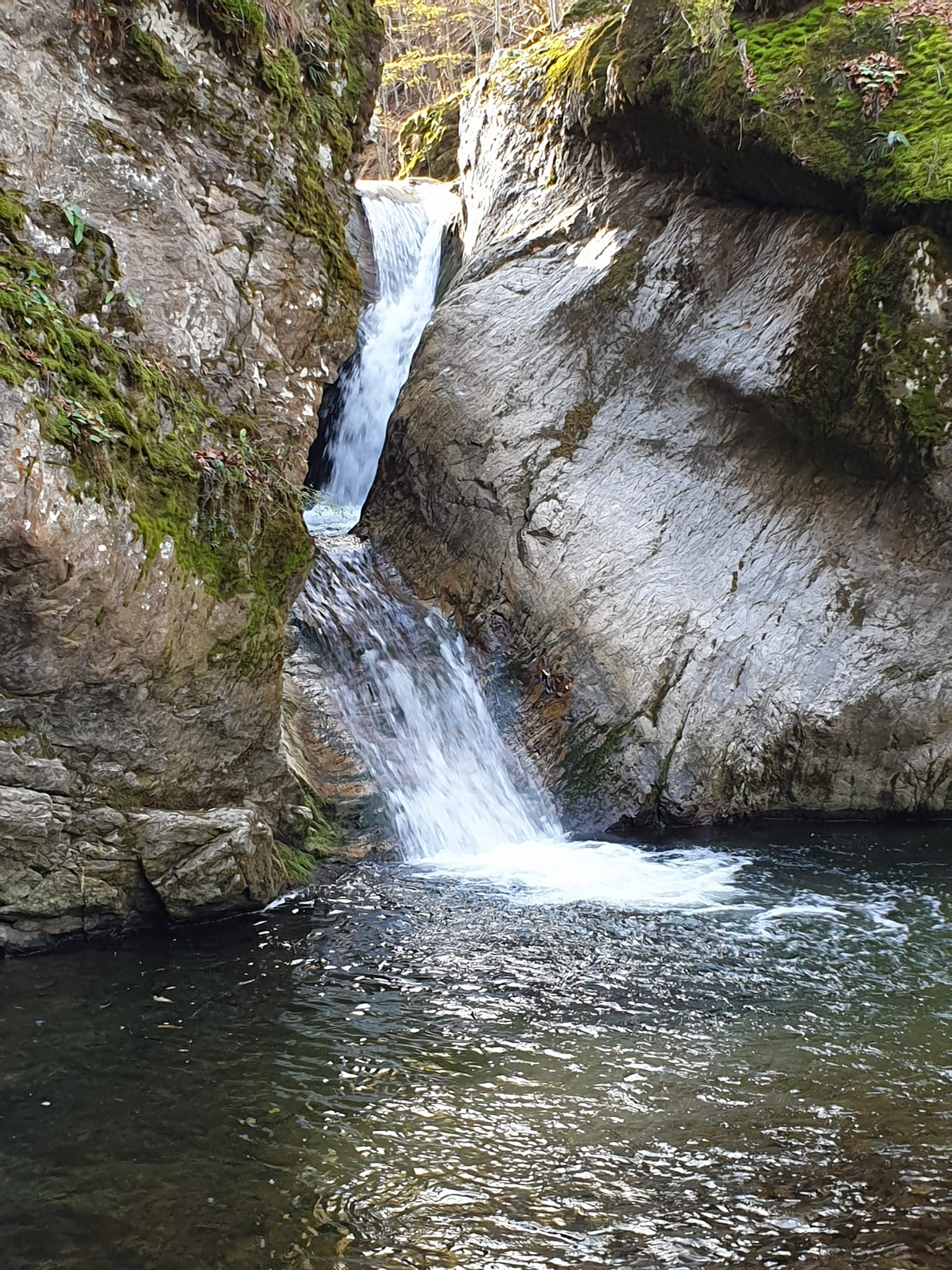 Водопад Свинската река