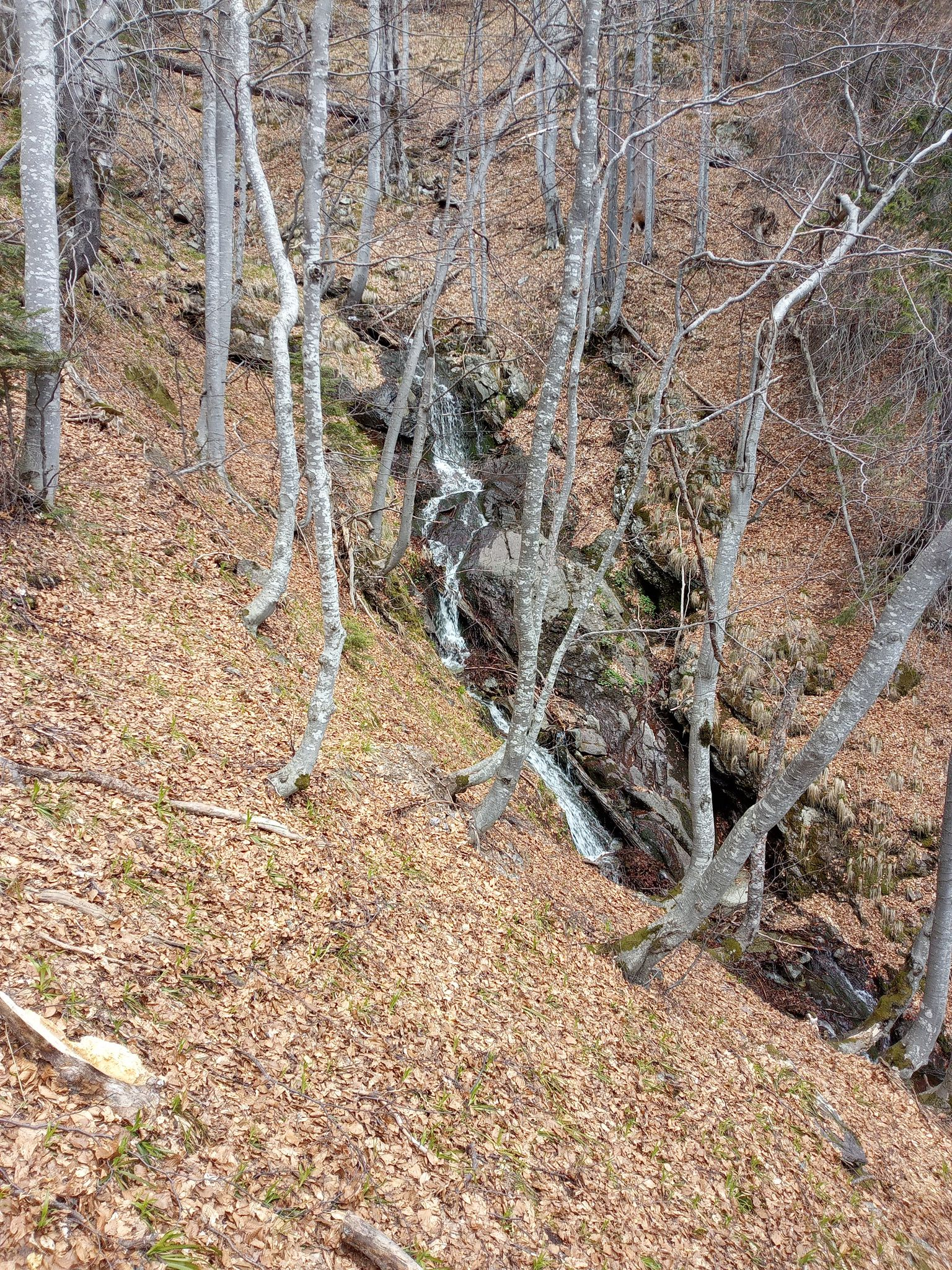 Каскада приток Манастирска река