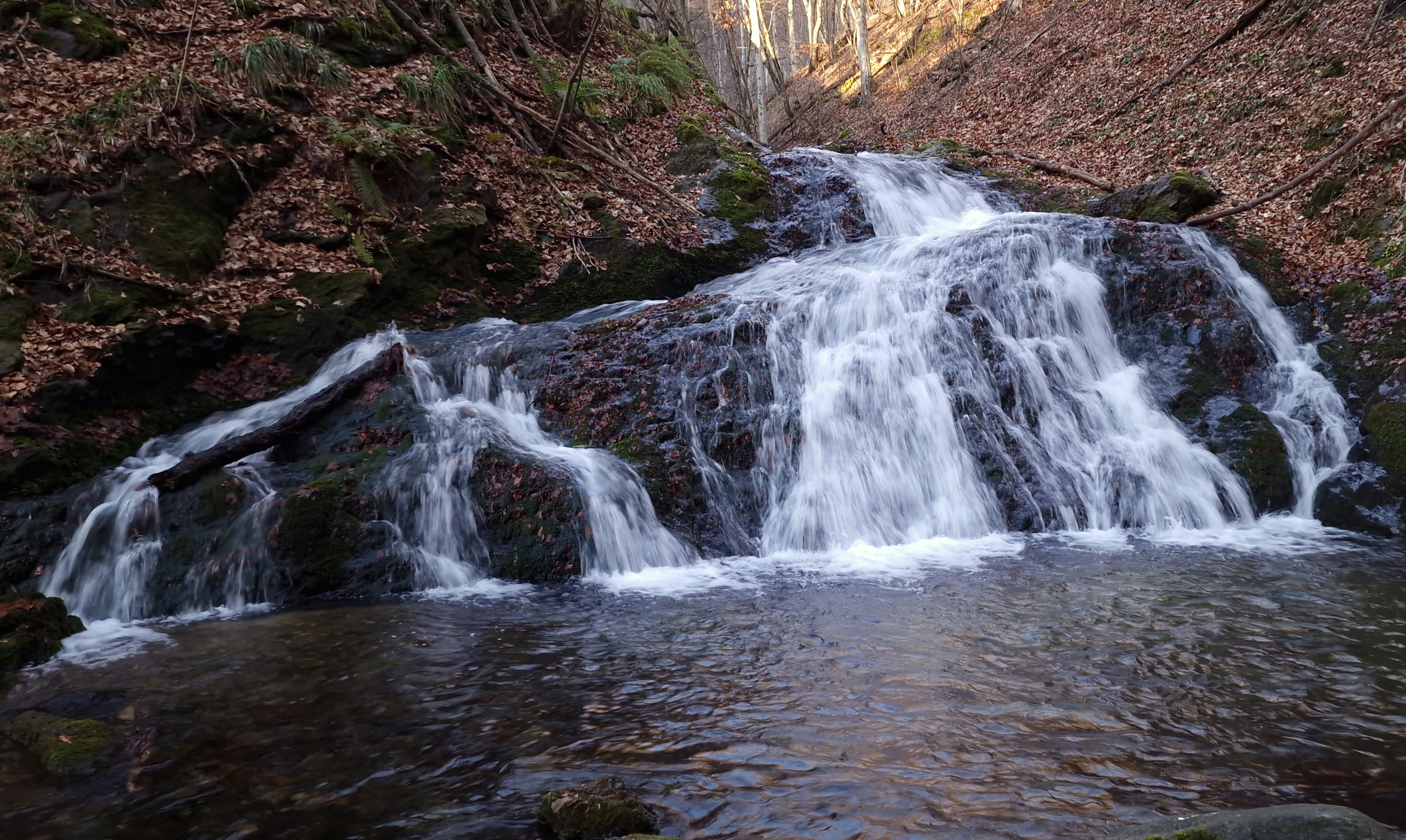 Седемте струи 