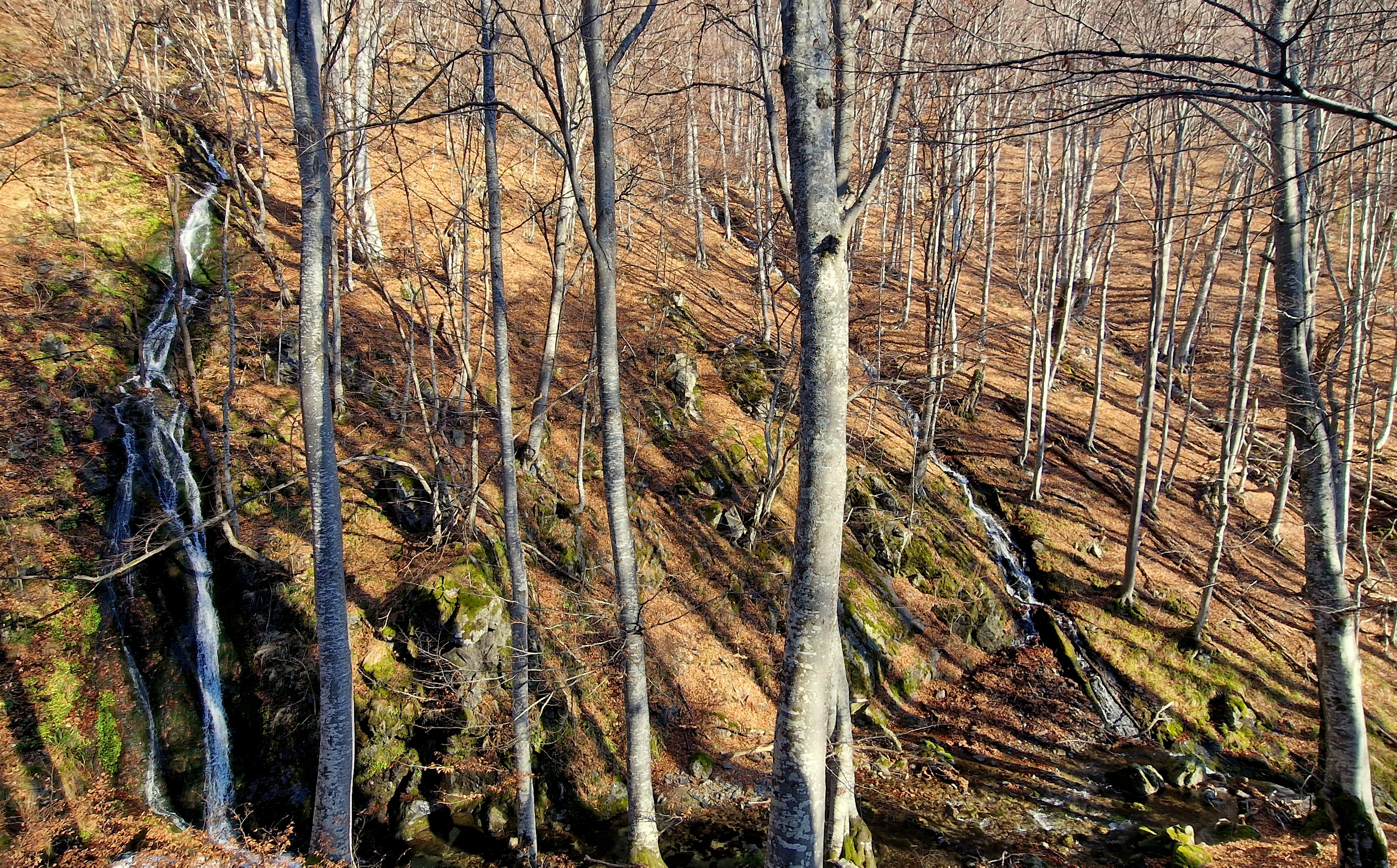 Изворни водопади Кьошковете