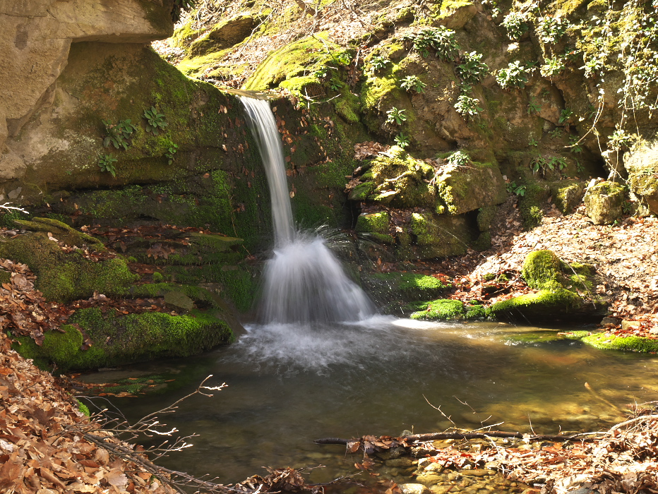 Праг Голямото гюне 4