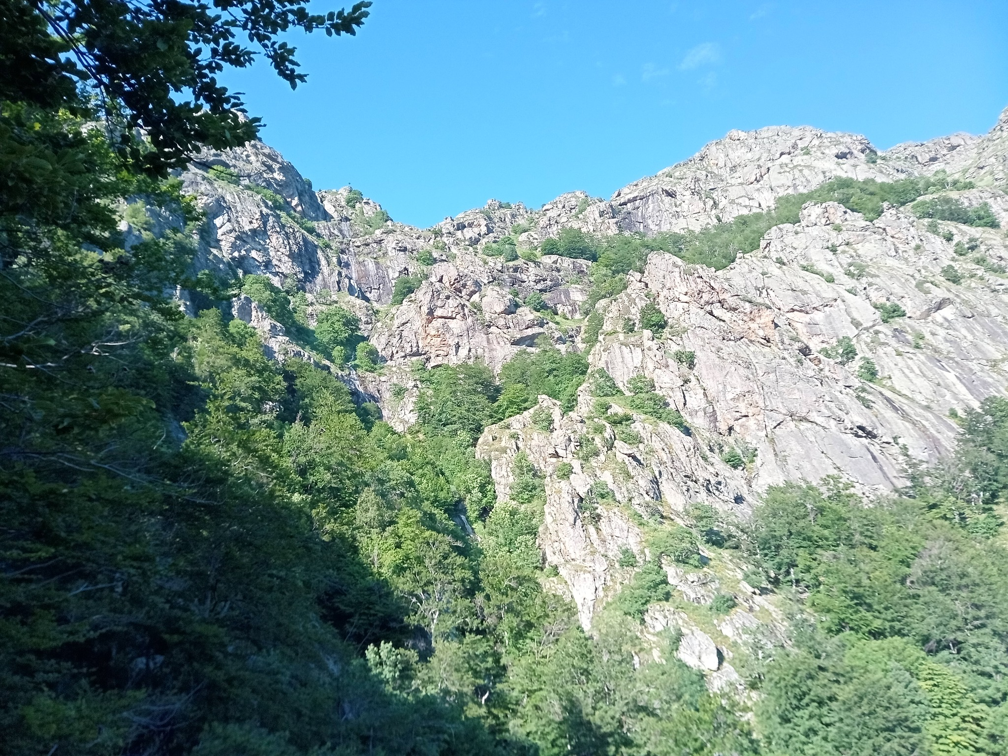 Горна каскада източен приток Малка Бъзовица