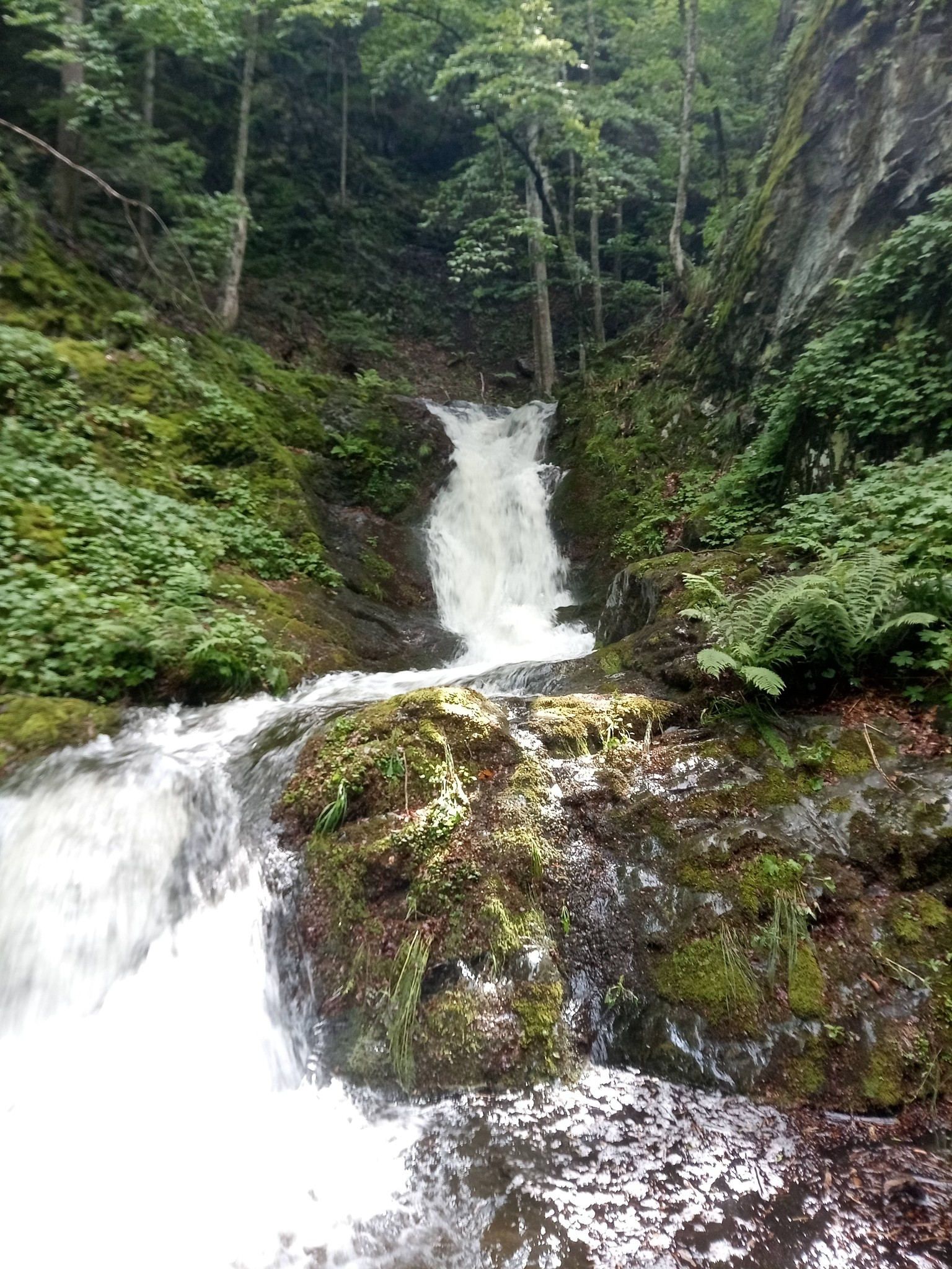 Водопад Дълбоката река 10