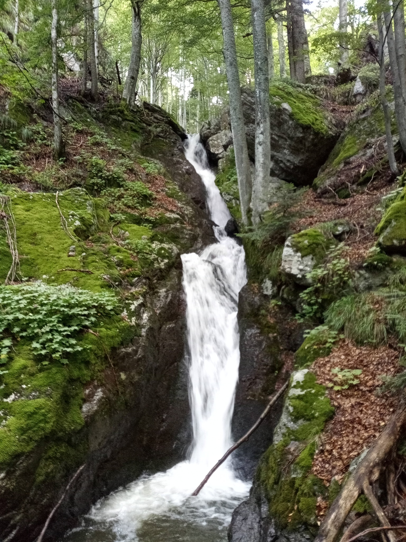Водопад Дълбоката река 13