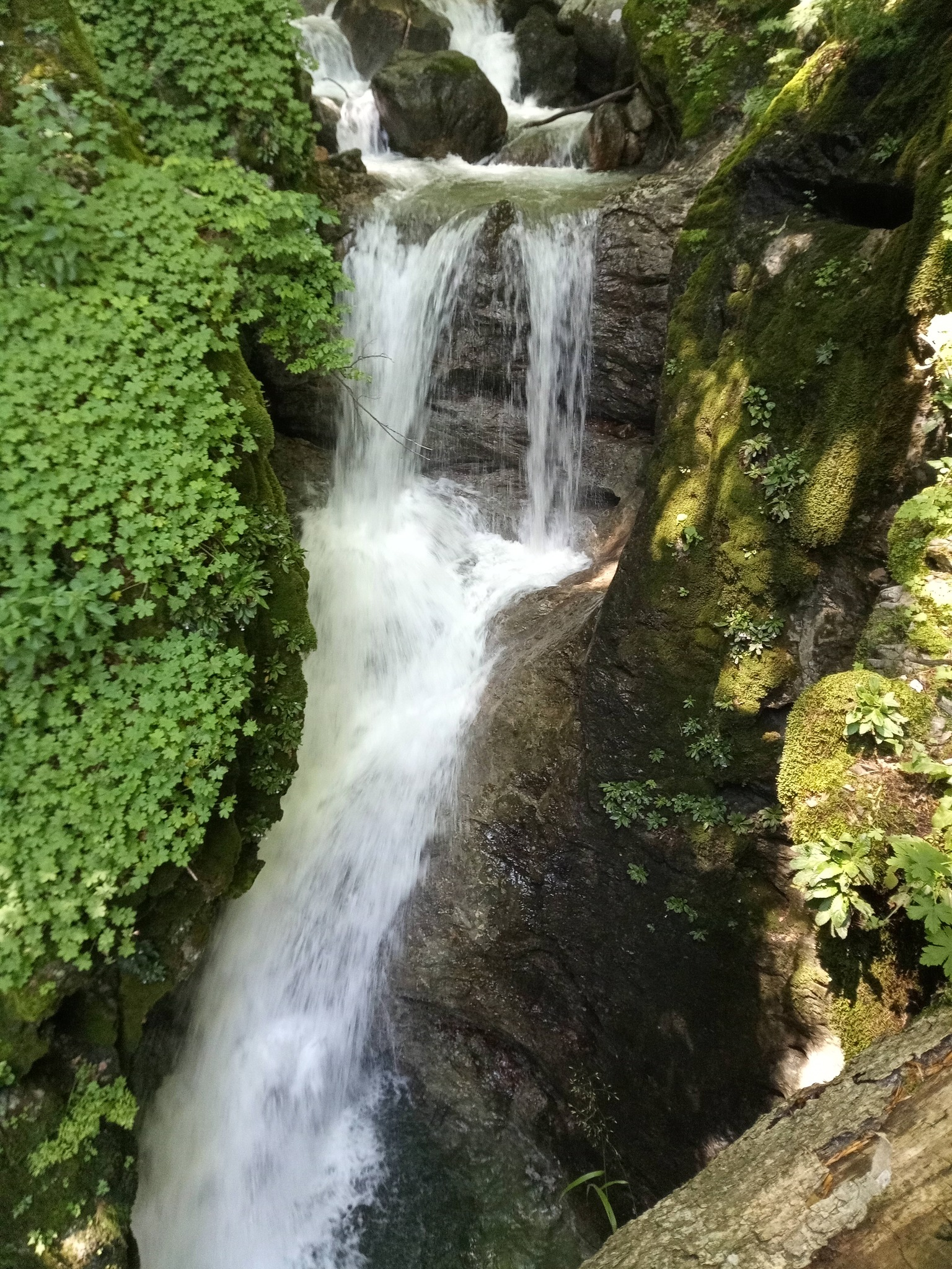 Водопад Голяма Бъзовица 6