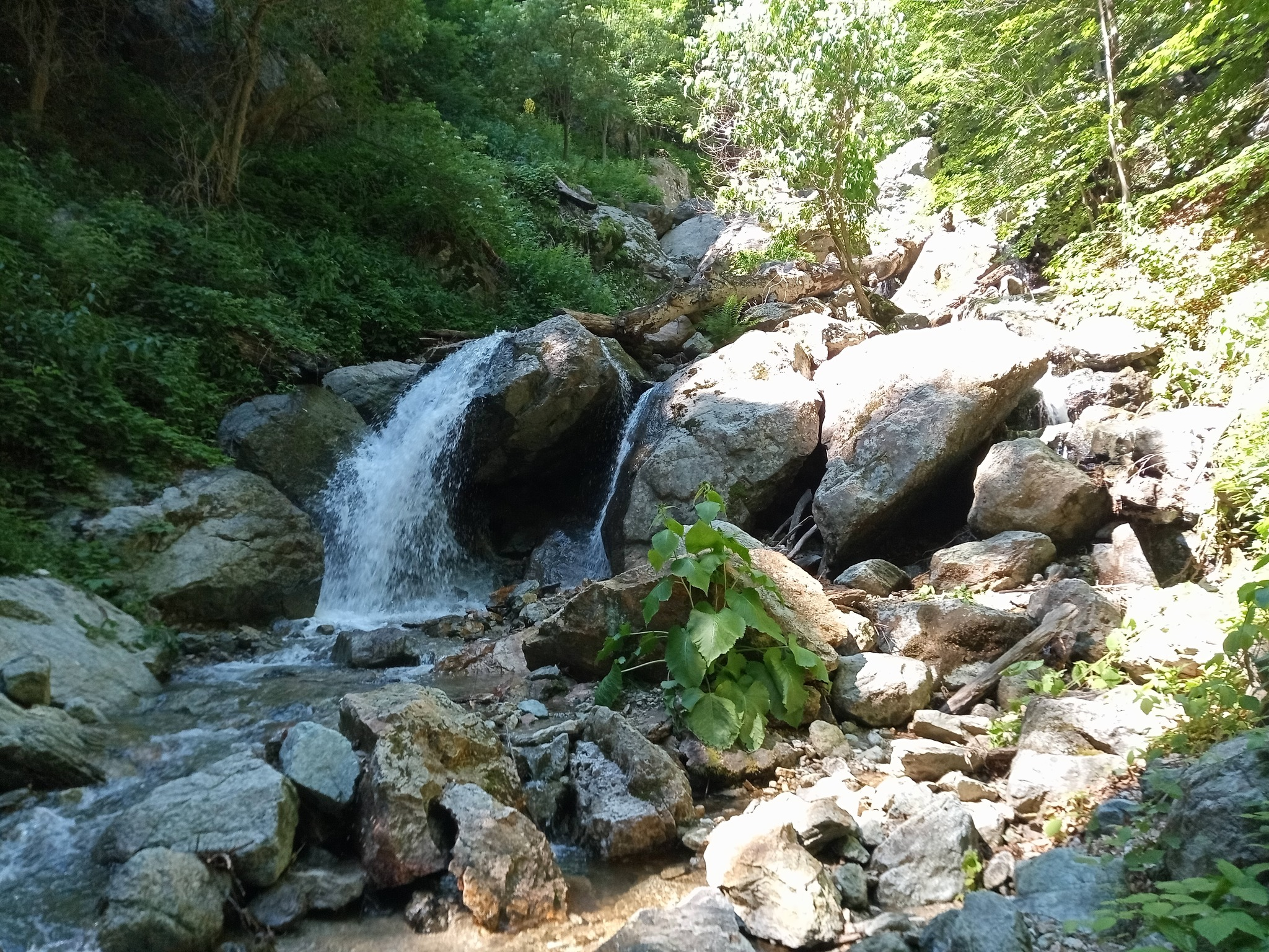 Водопад Малка Бъзовица 1