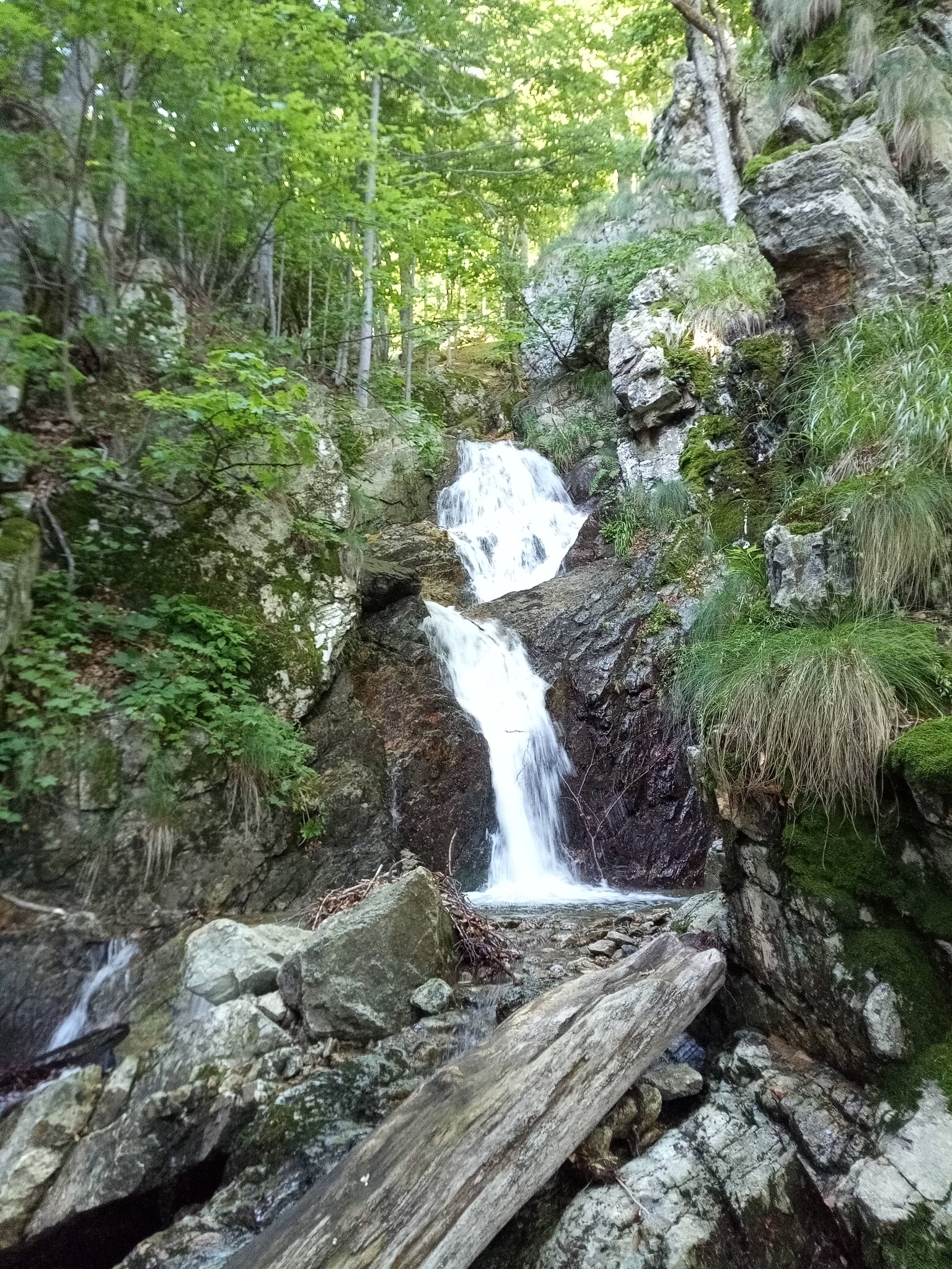 Водопад Малка Бъзовица 9