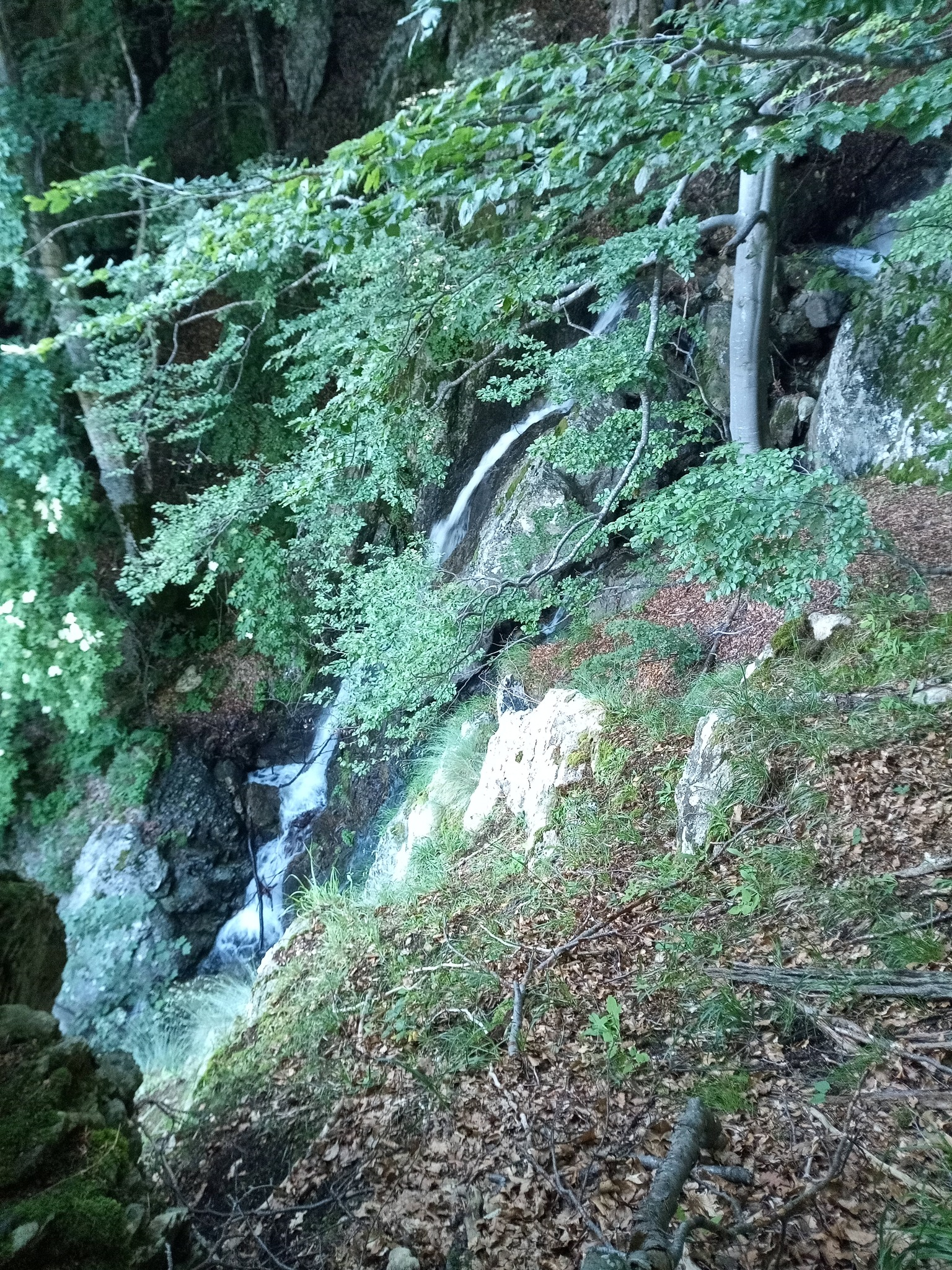 Горна каскада Малка Бъзовица 