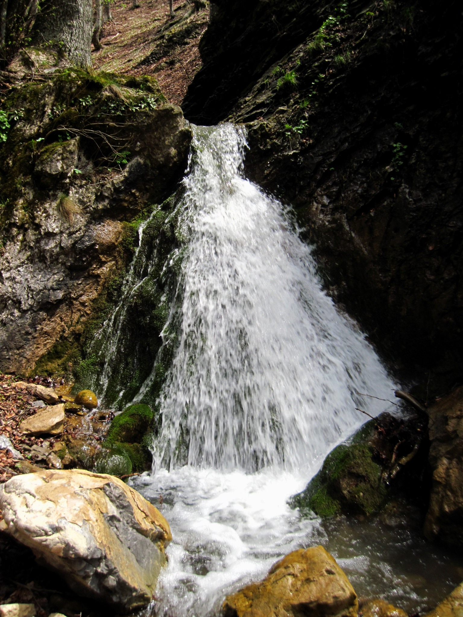 Долен водопад Голяма Варовита река