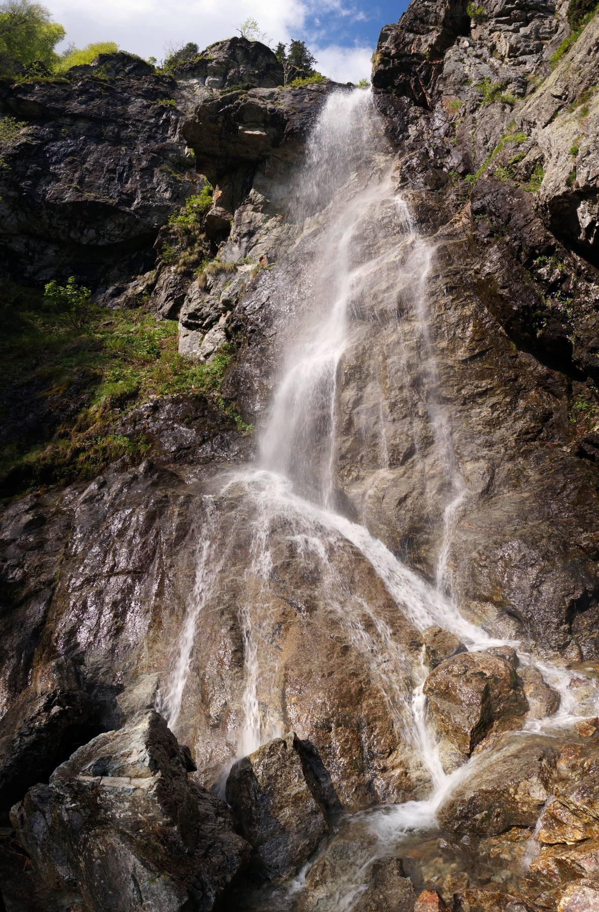 Говеждо пръскало