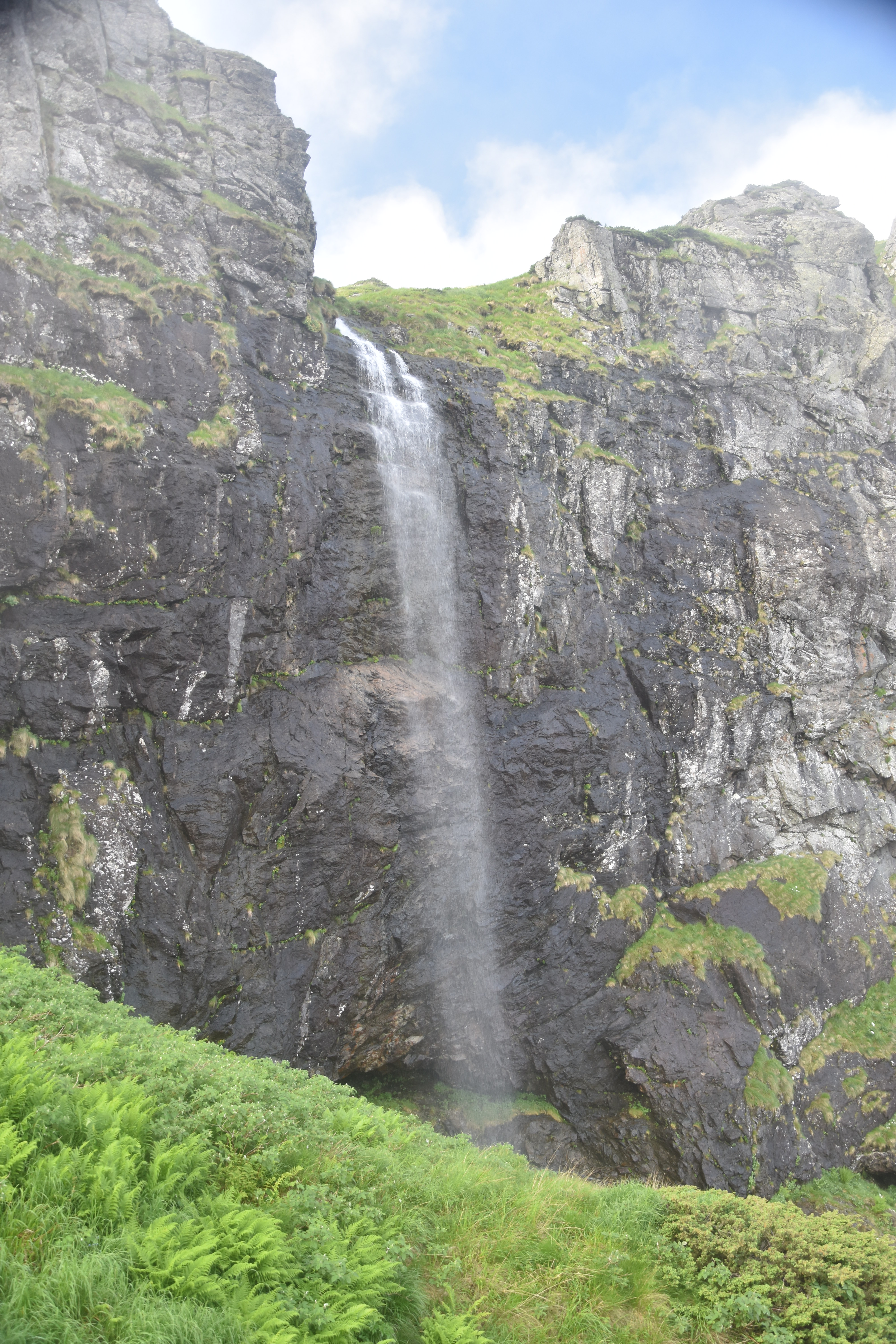 Ожовишкo пръскало