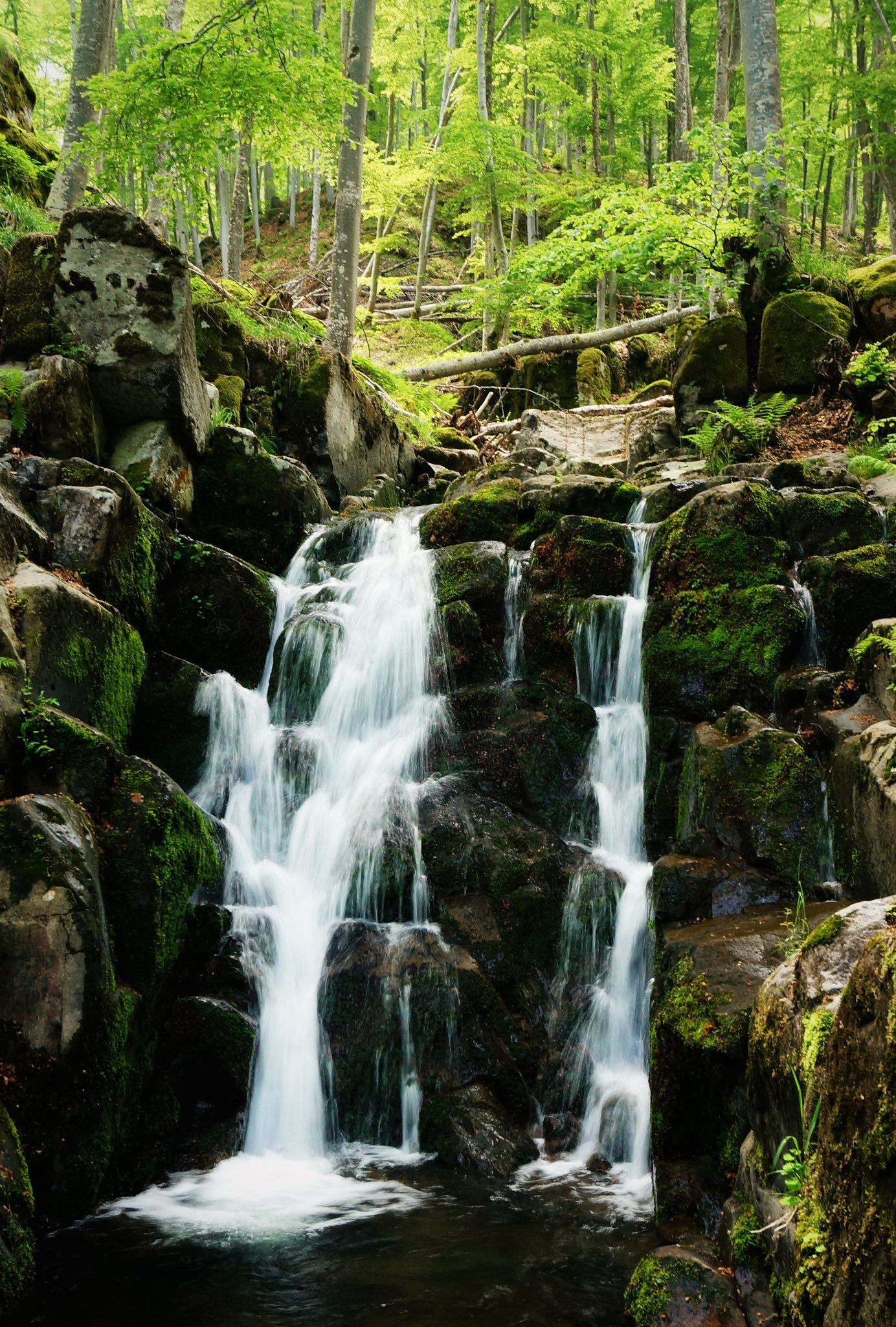 Водопад Билева Река